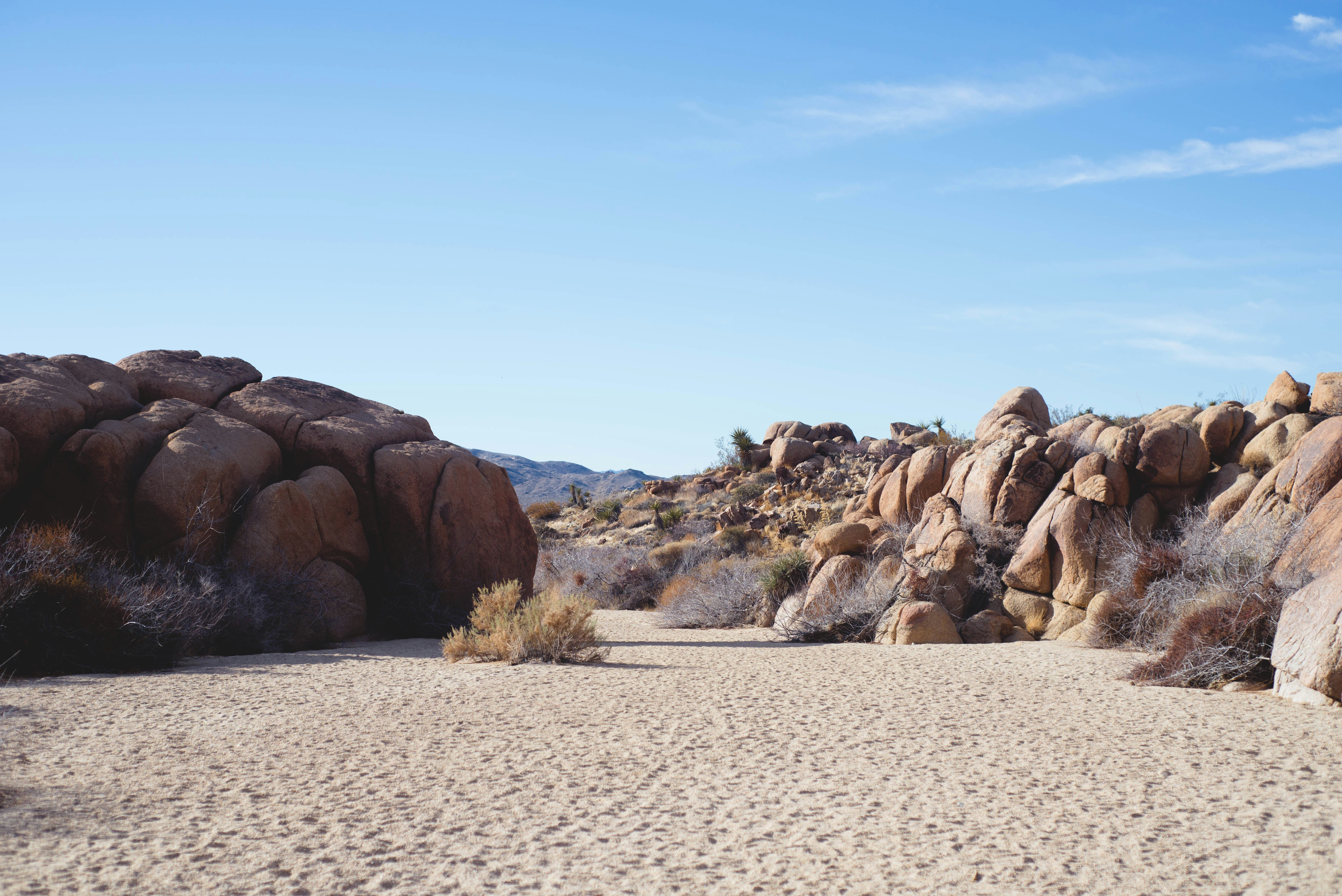 Photo by woahdreamig