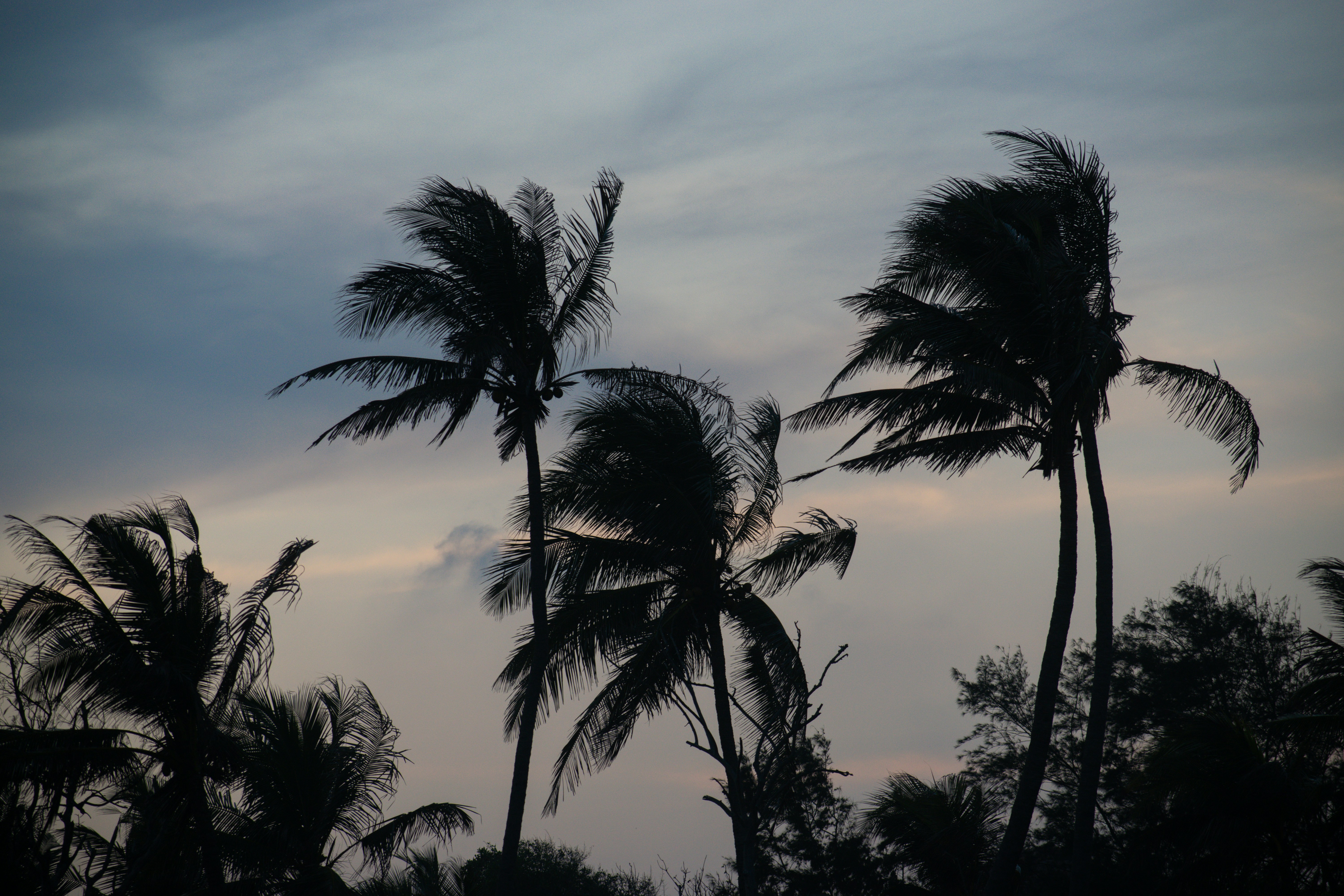 Photo by tirthkesharia