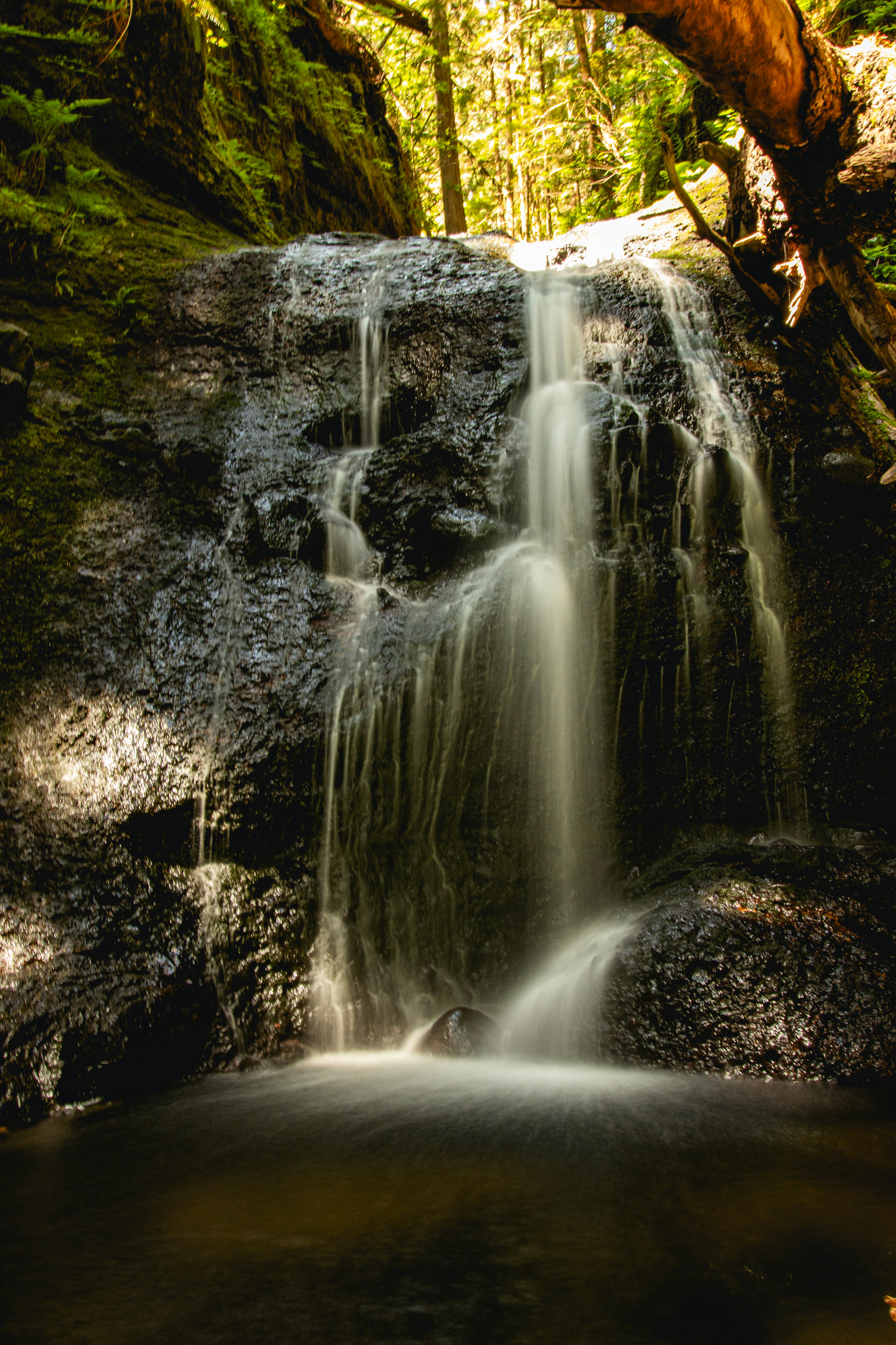 Photo by tpminettphotography