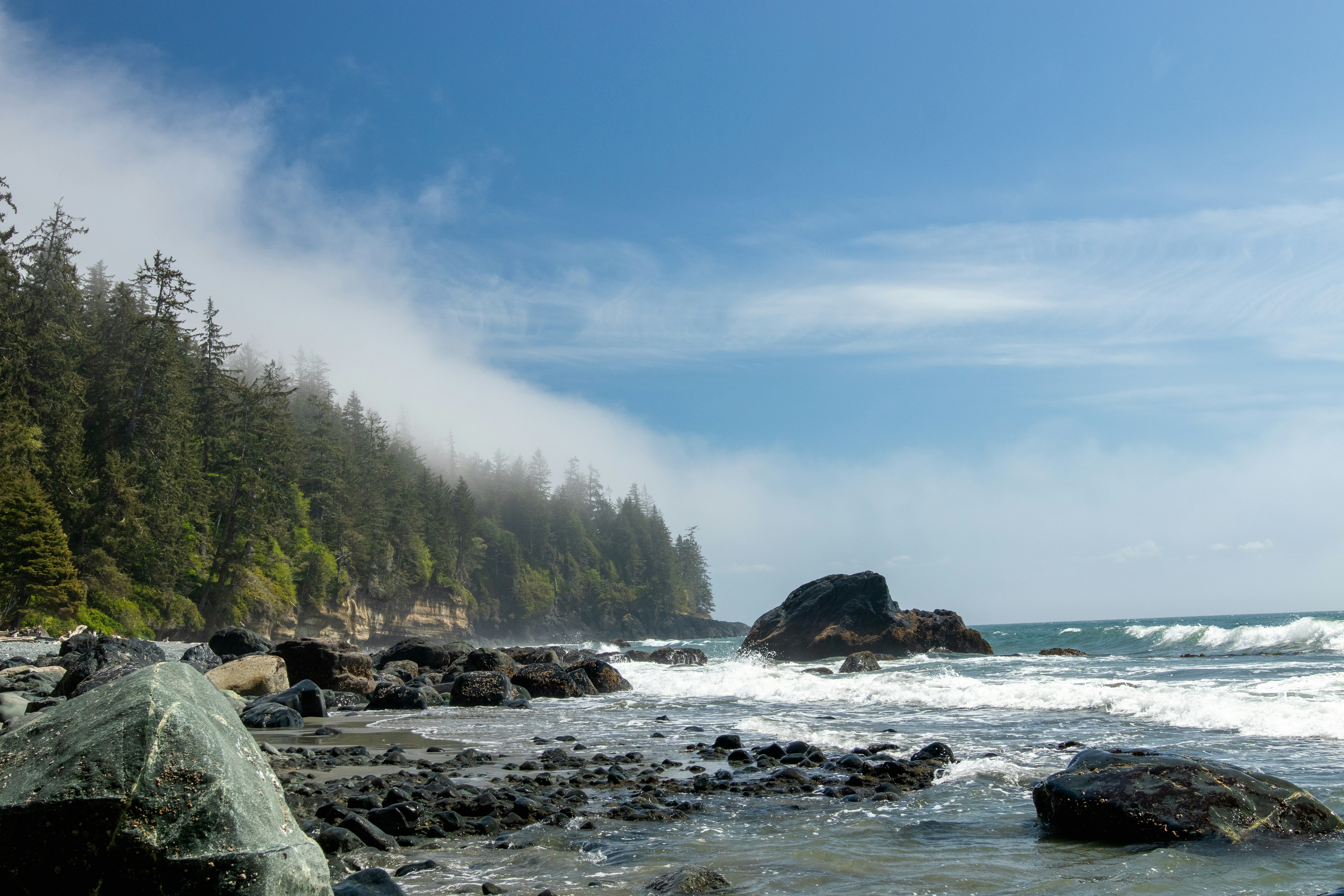 Photo by tpminettphotography