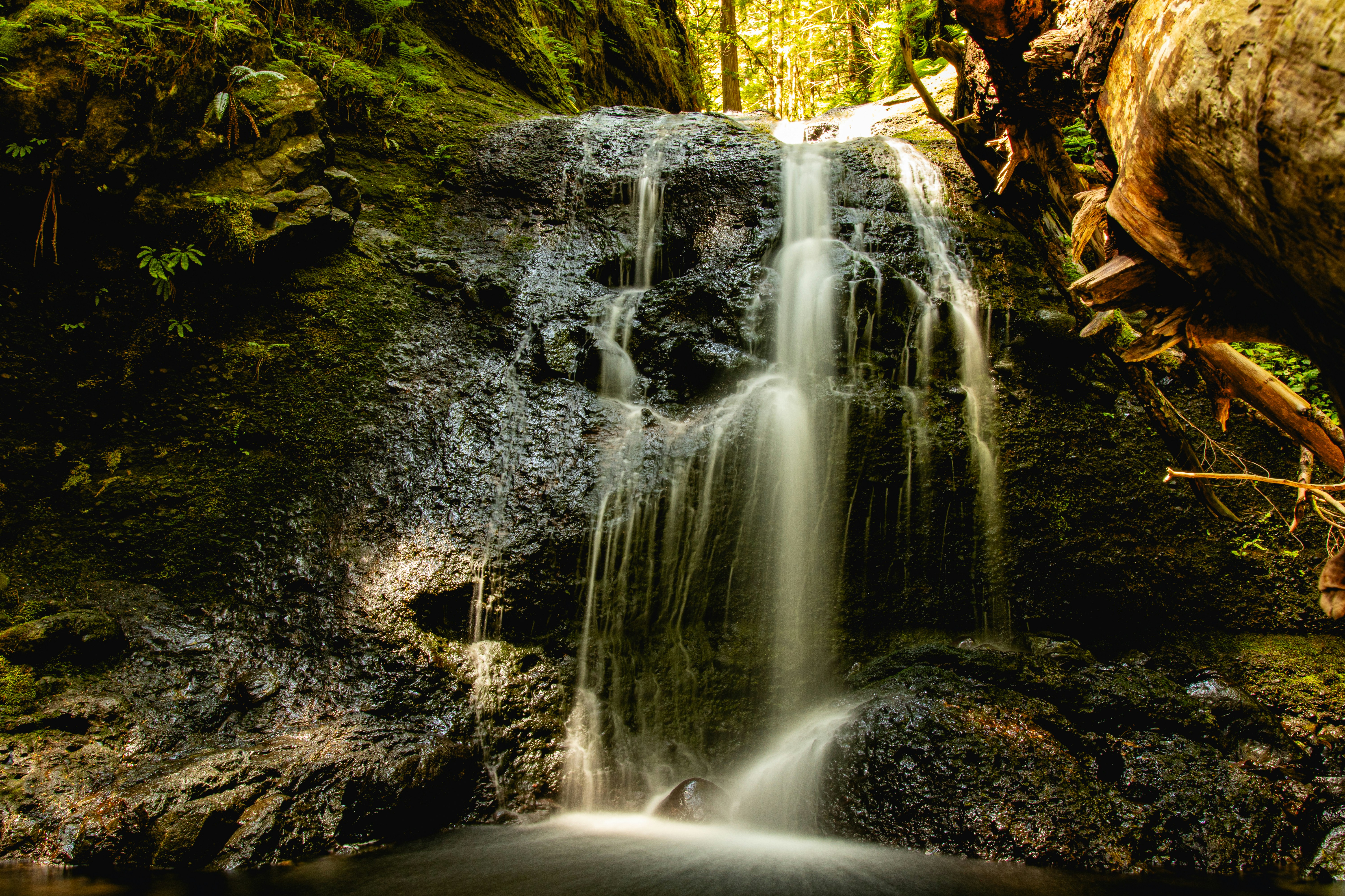 Photo by tpminettphotography