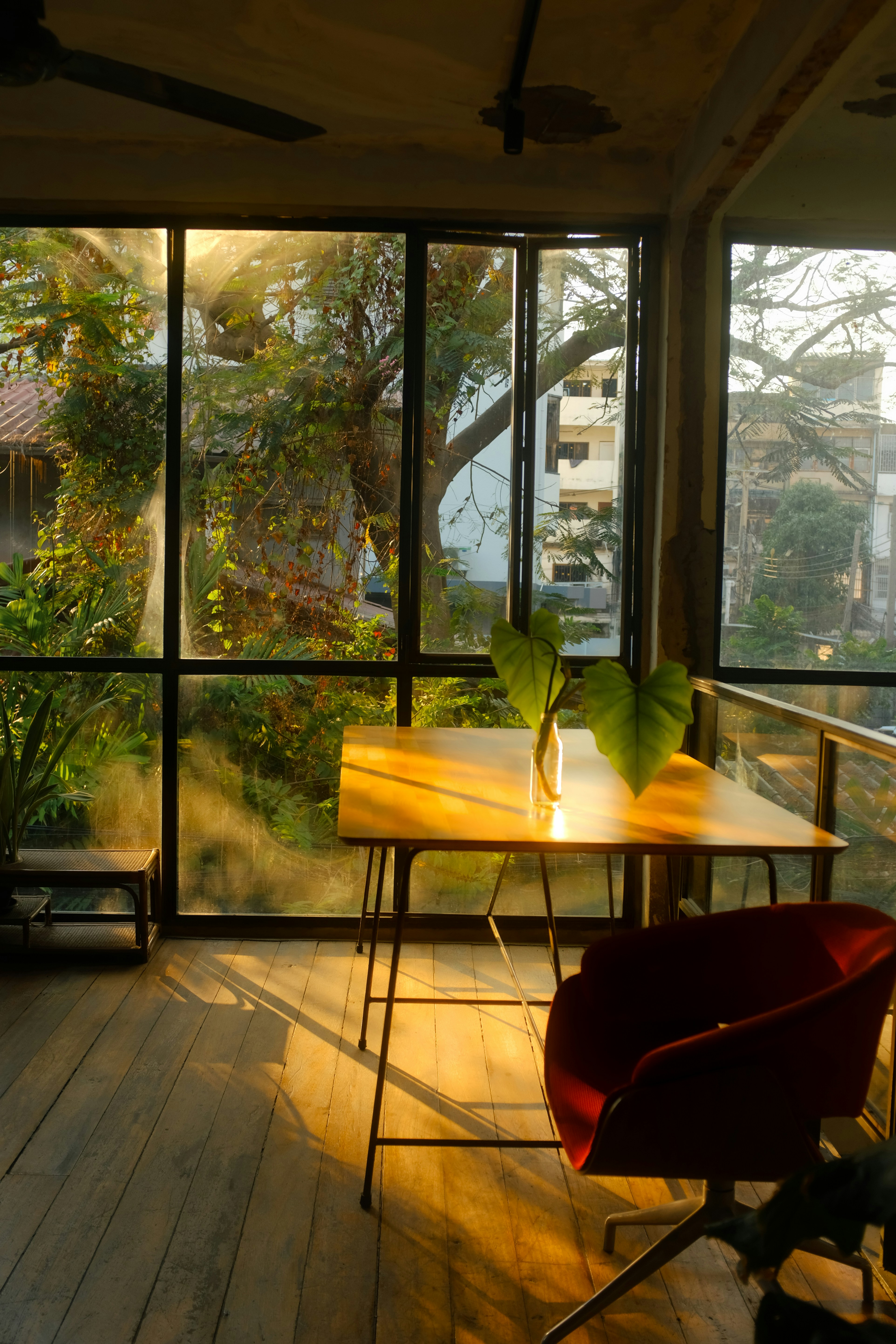 Photo by anastasia2208