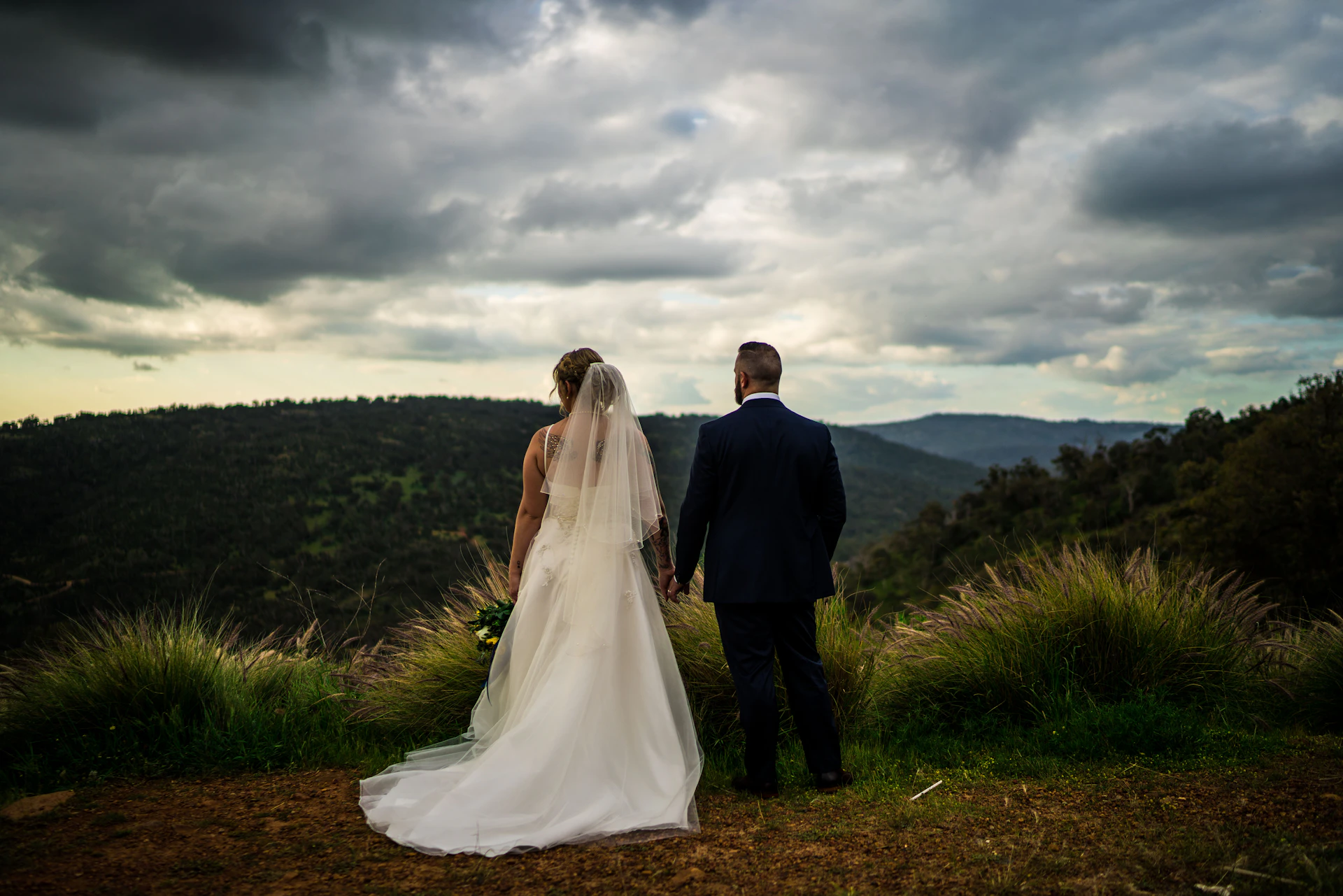 Newlywed couple admiring a scenic view