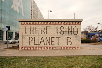 Graffiti: there is no planet b.