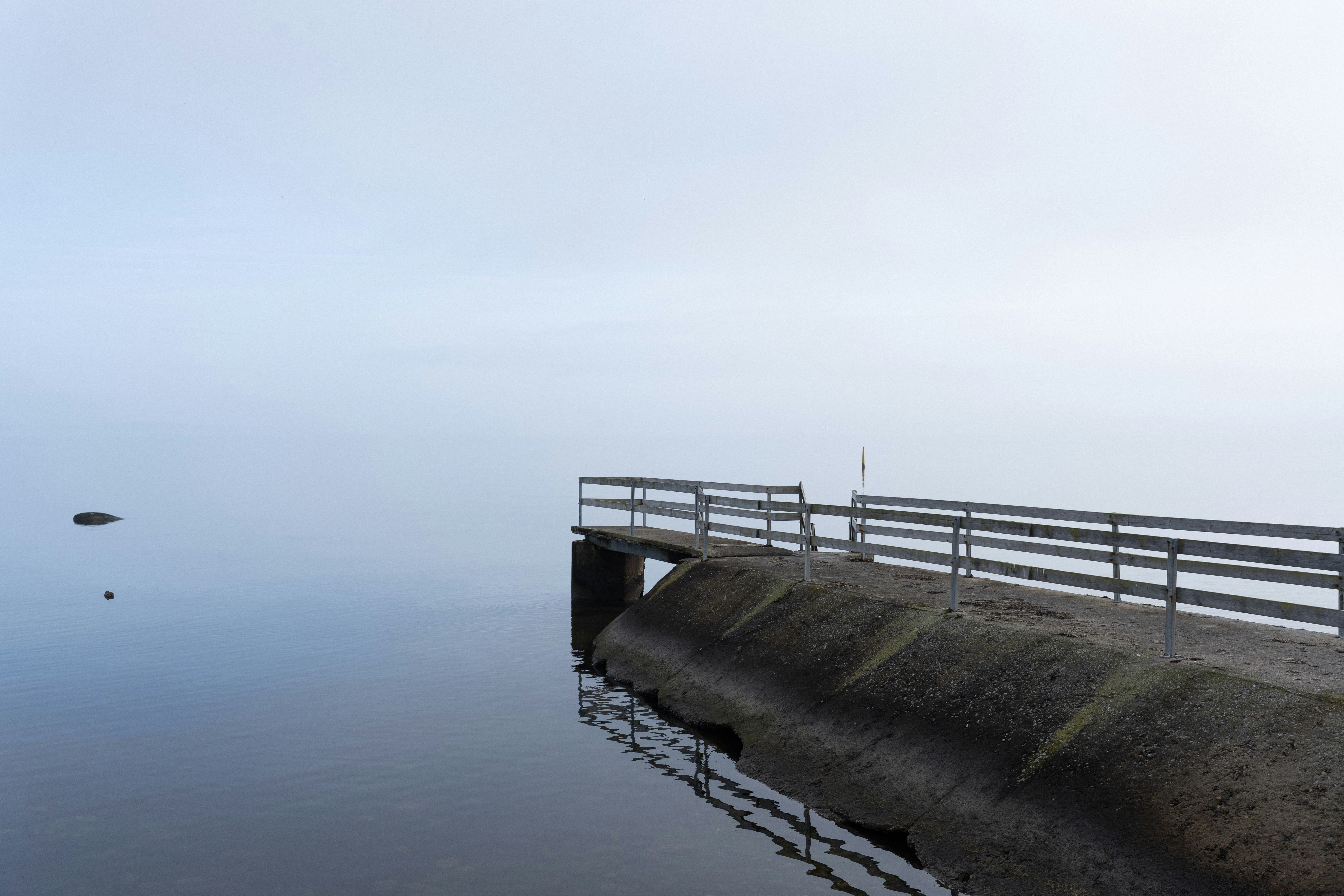 Photo by sorinbasangeac