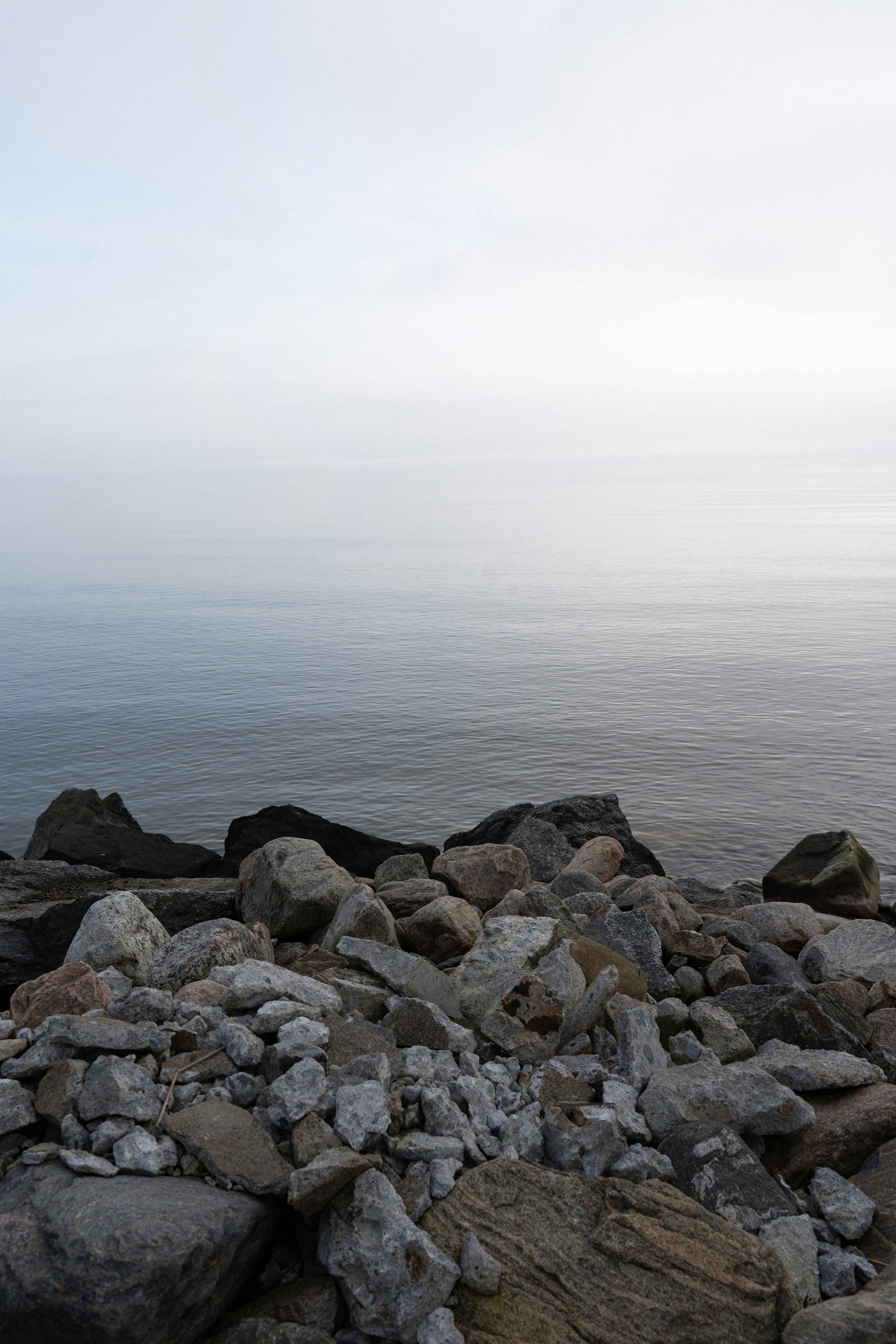 Photo by sorinbasangeac