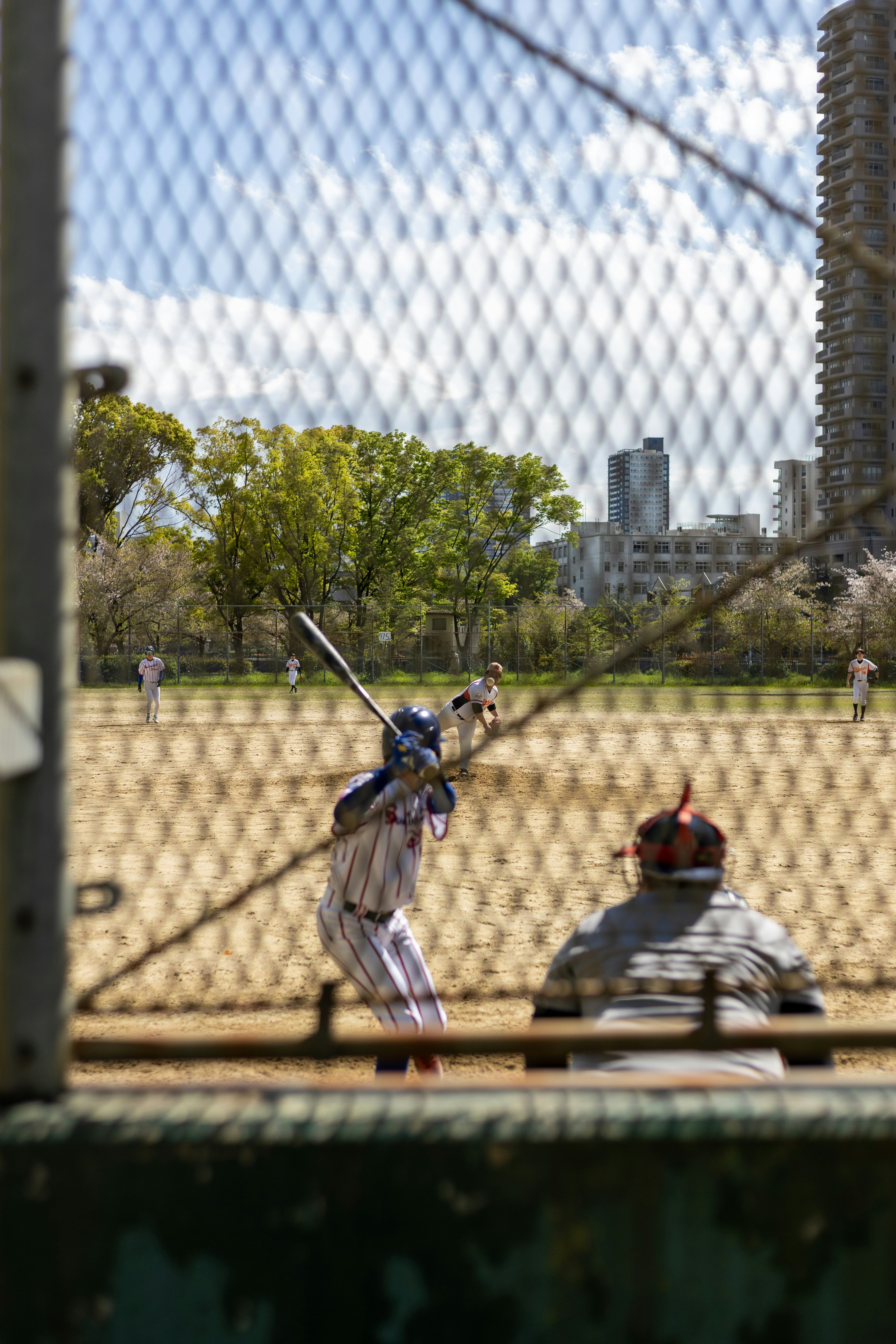 Baseball game played in the park on a sunny day.