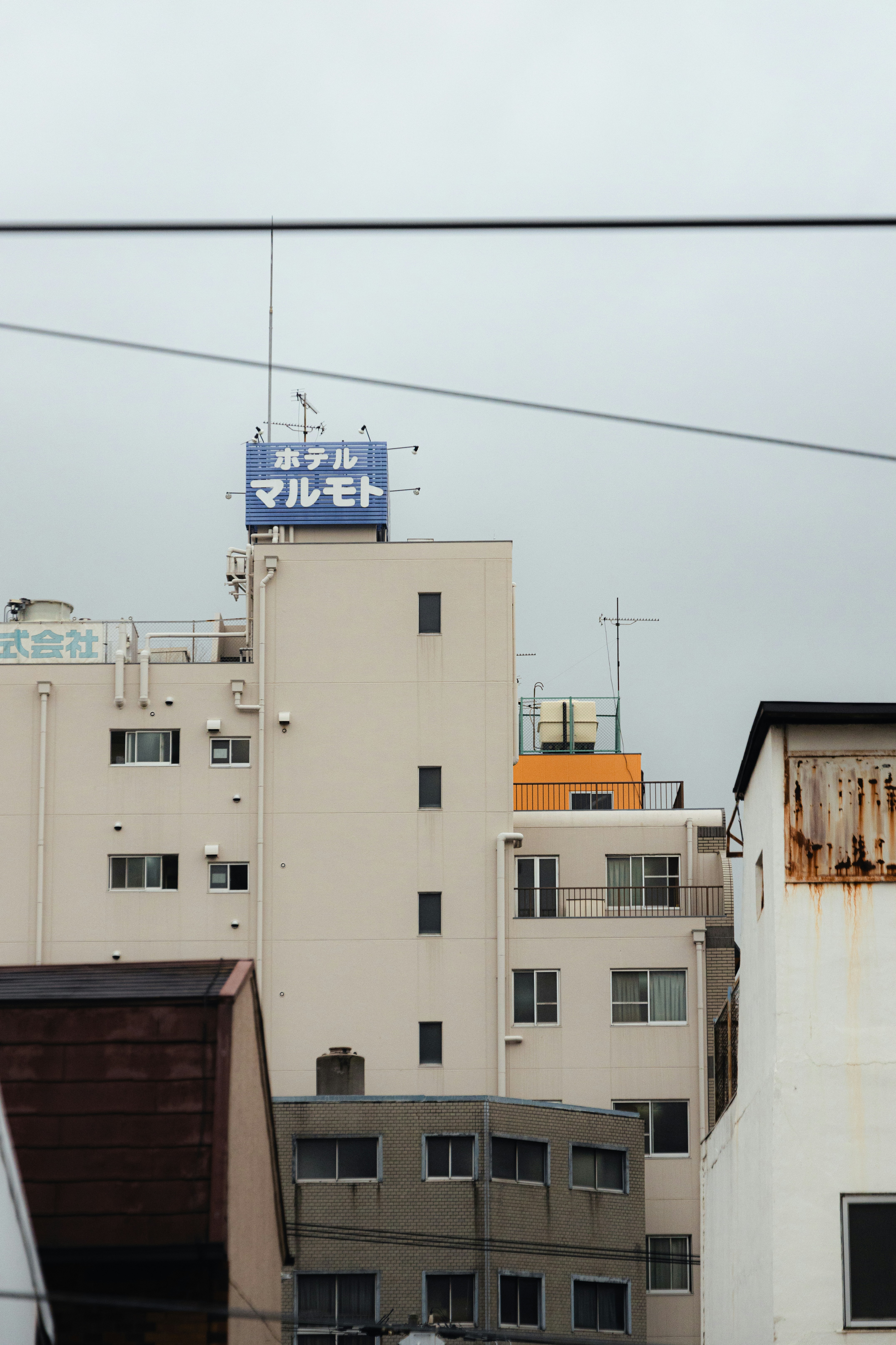 Photo by observationalme