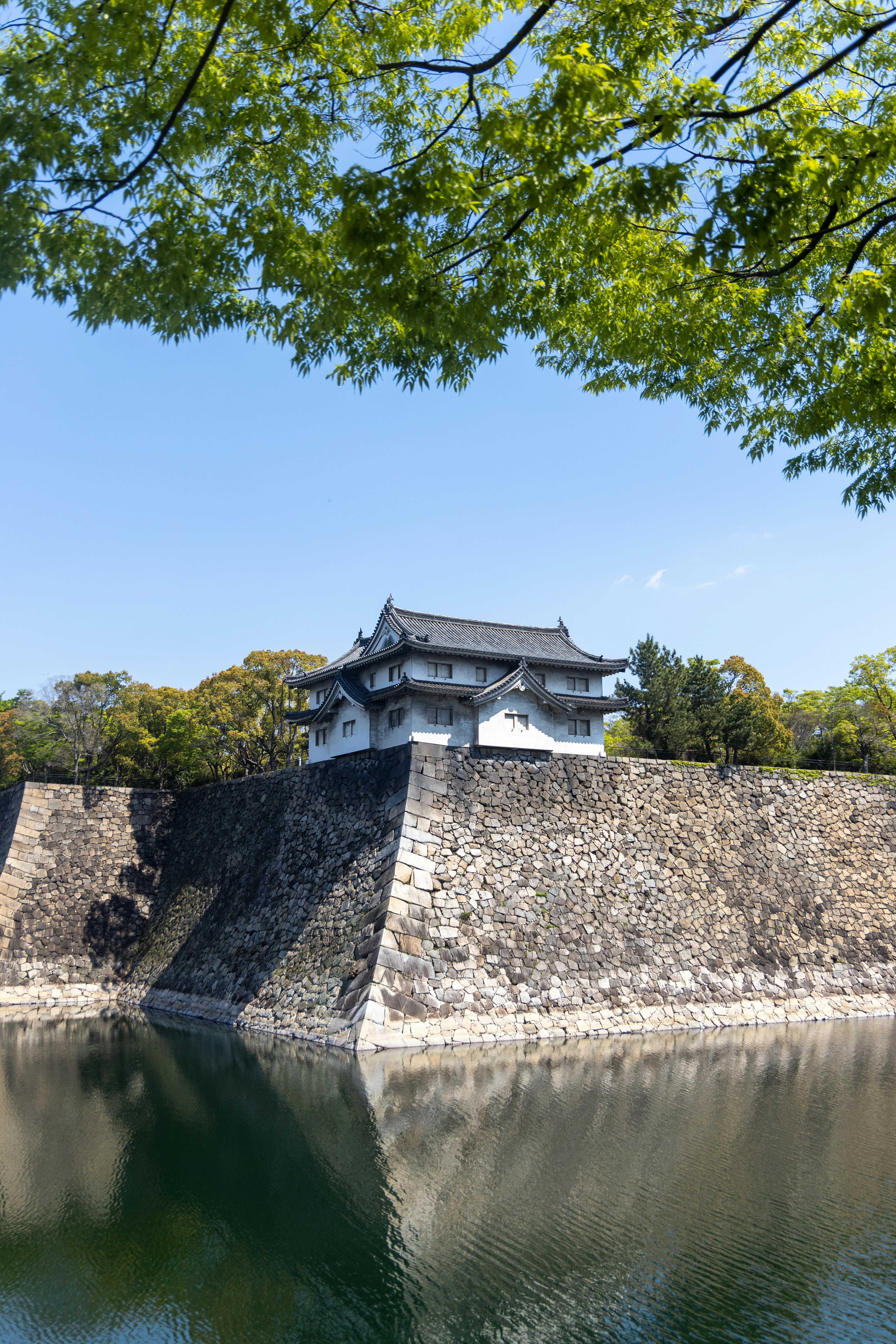 Photo by observationalme