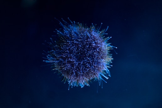 A blue, spiky sea creature floats in darkness.
