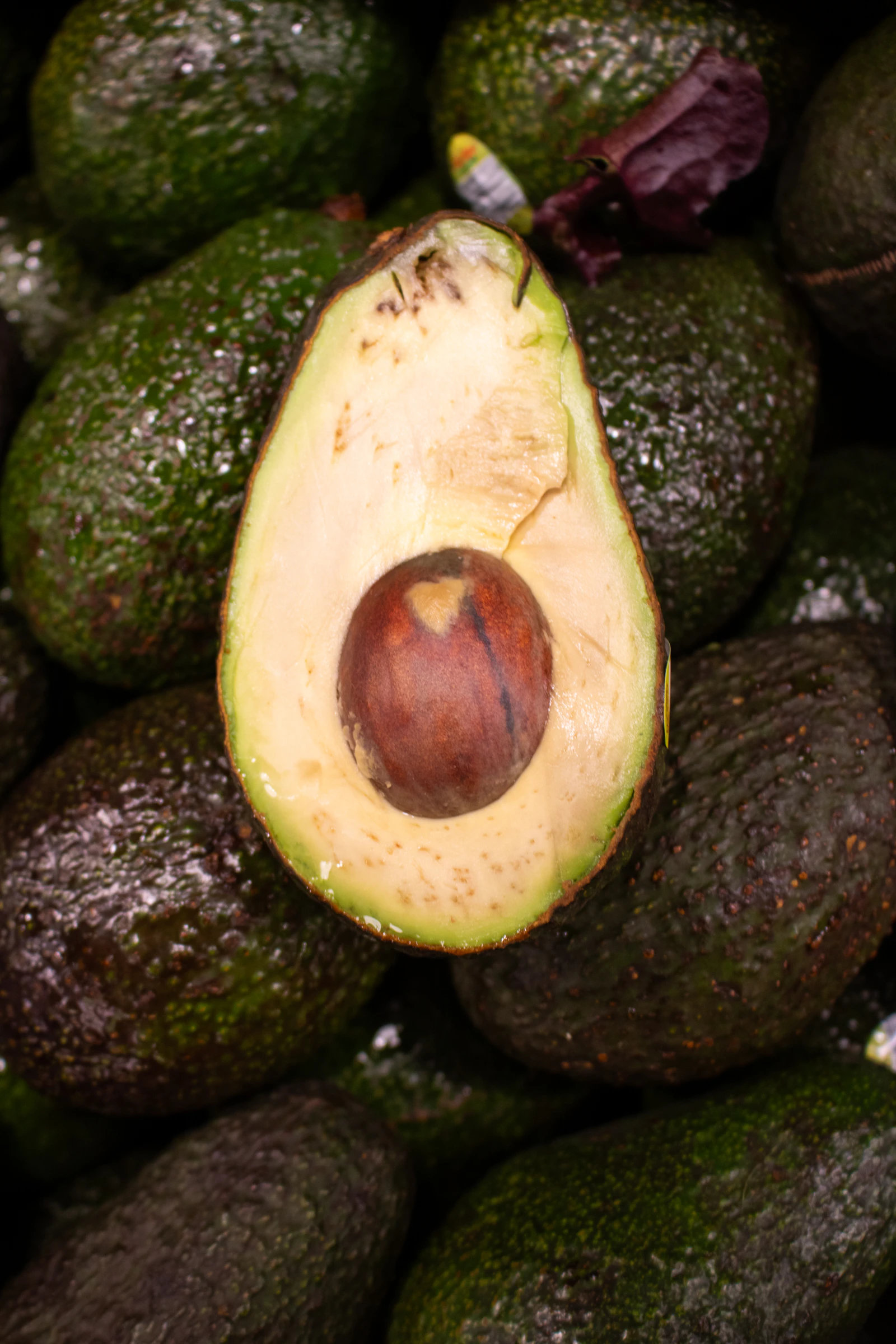 Avocado skin and pit for composting
