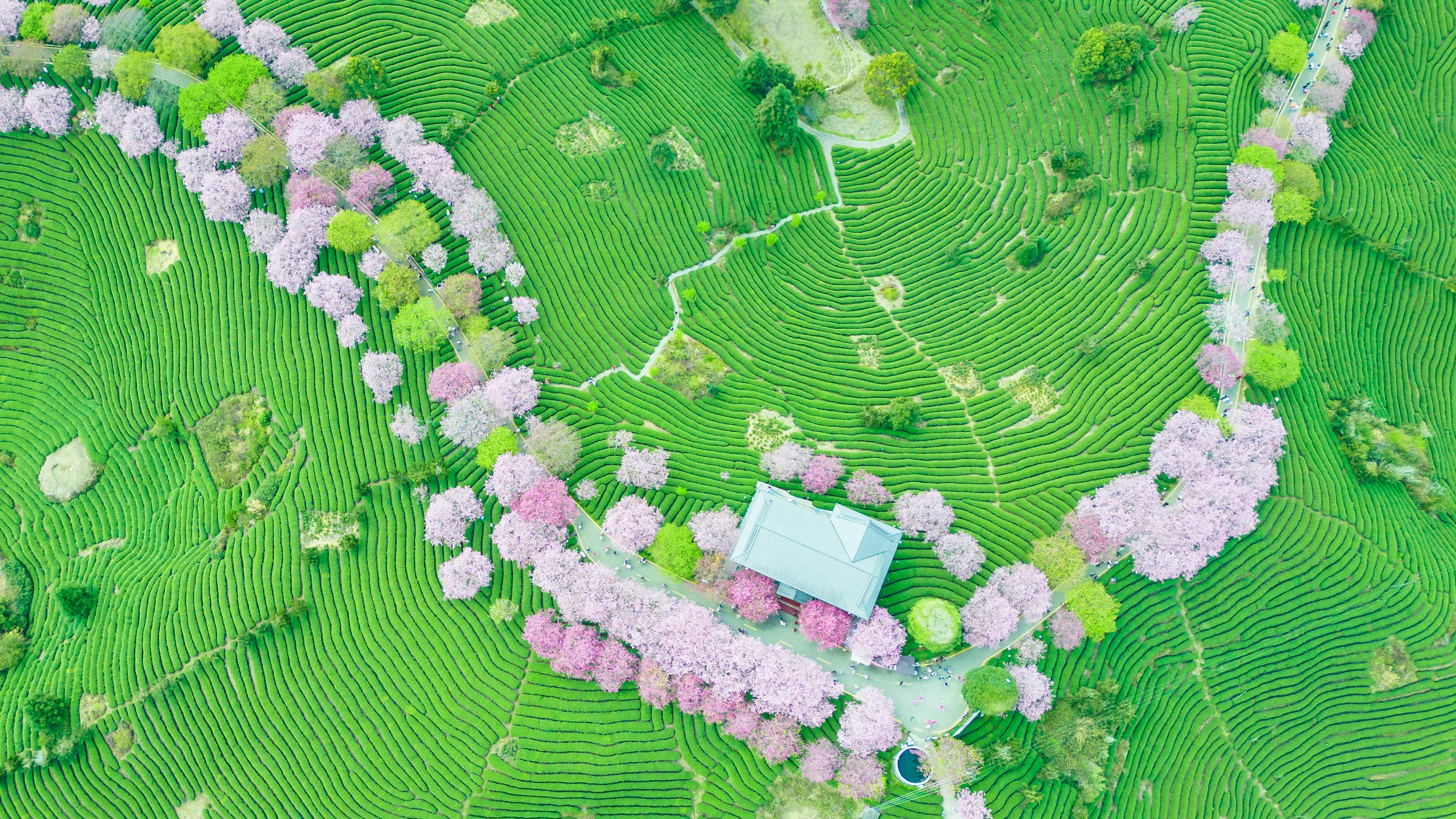 LCX destination photo