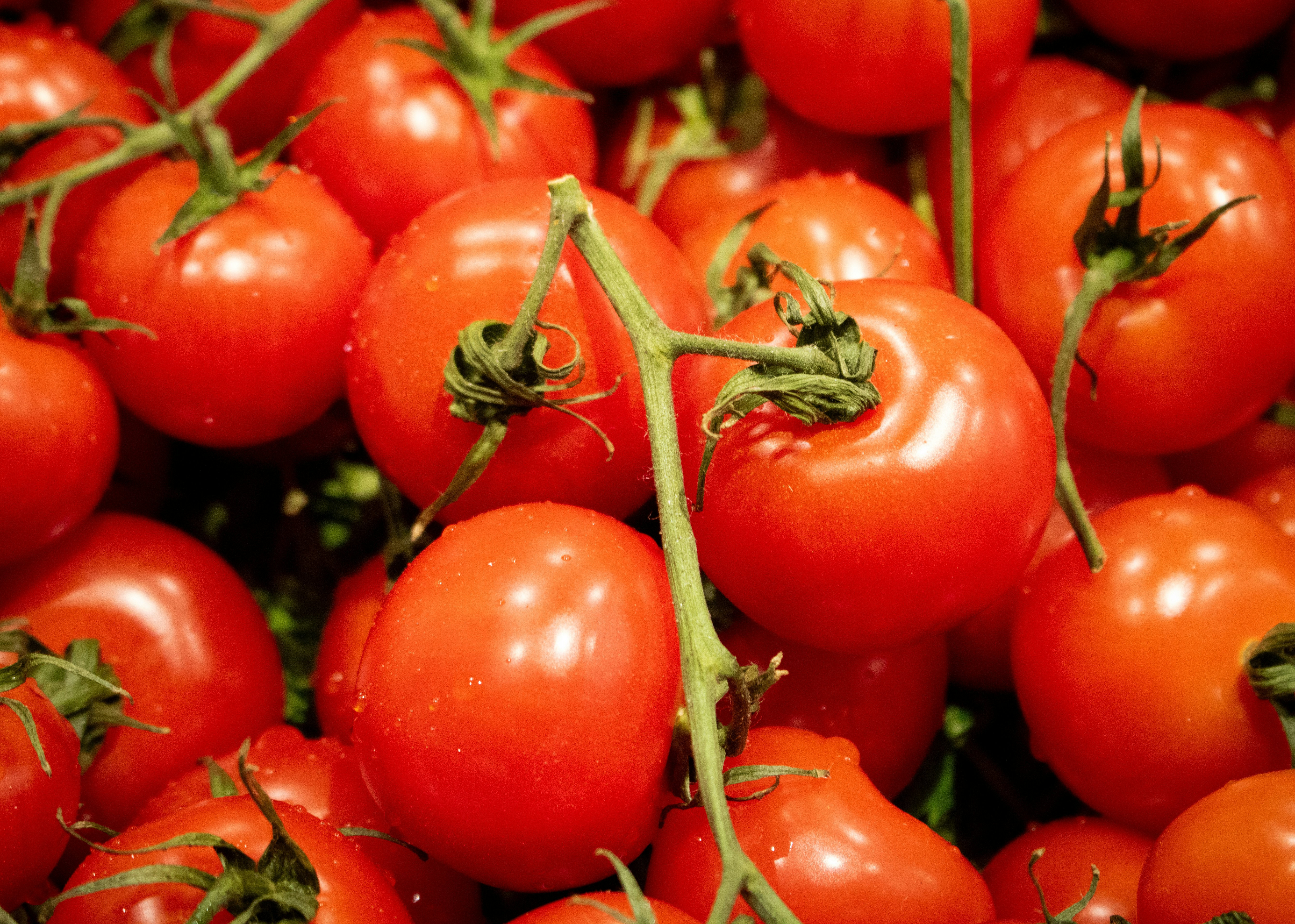 Photo by zoshuacolah