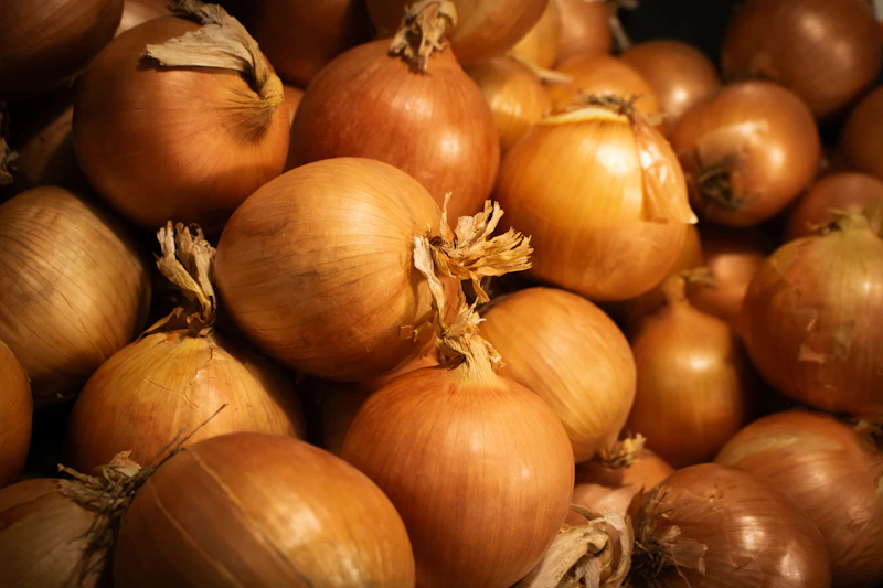 Cebola