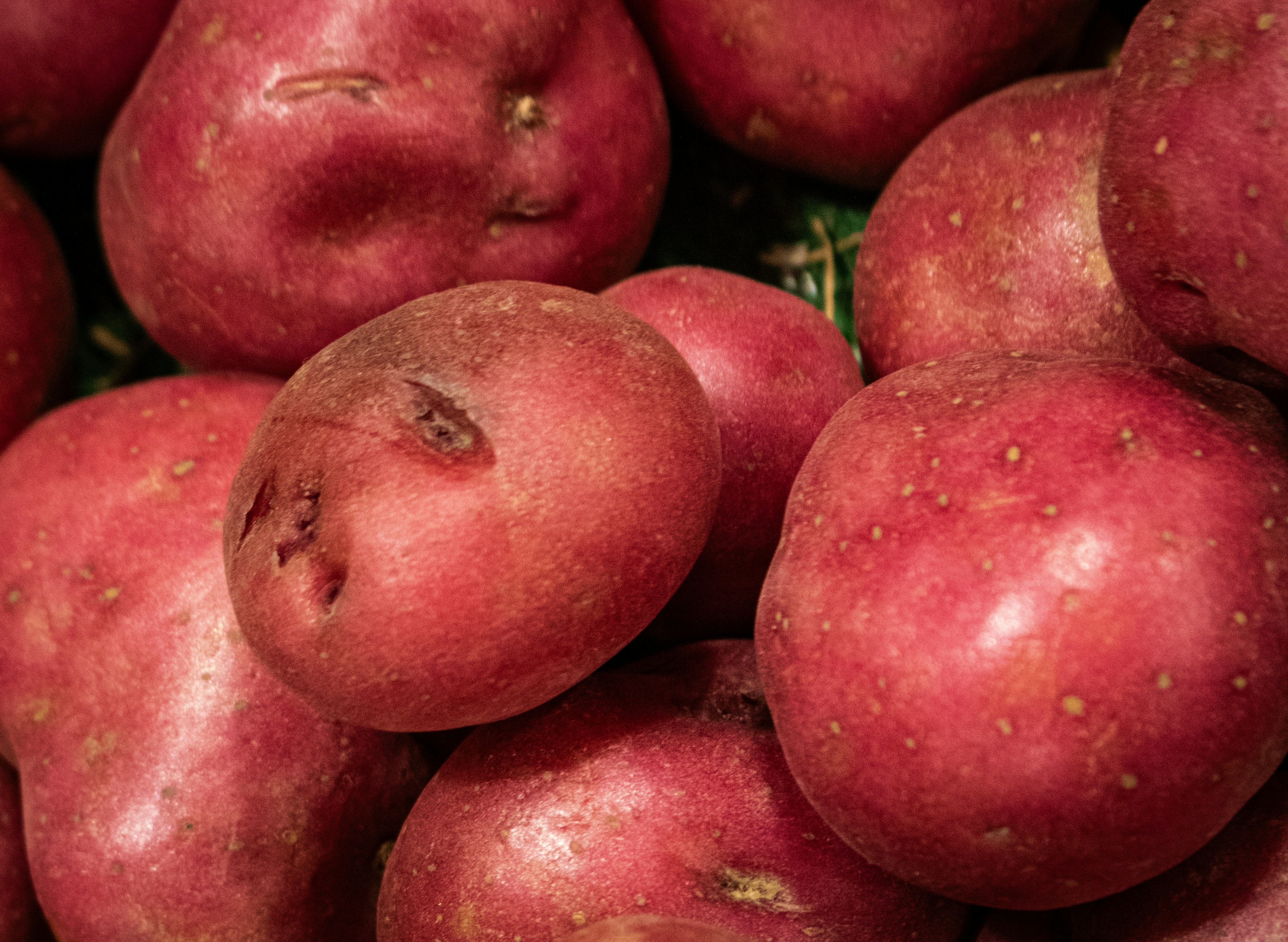 A pile of fresh red potatoes.