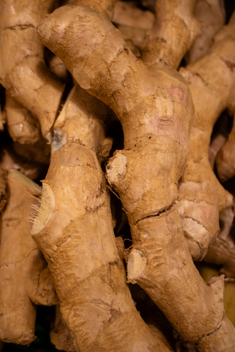Fresh ginger root ready for export