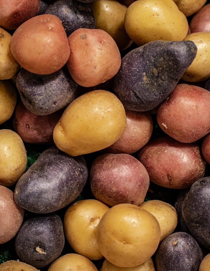 An assortment of golden and earth-toned potatoes piled together
