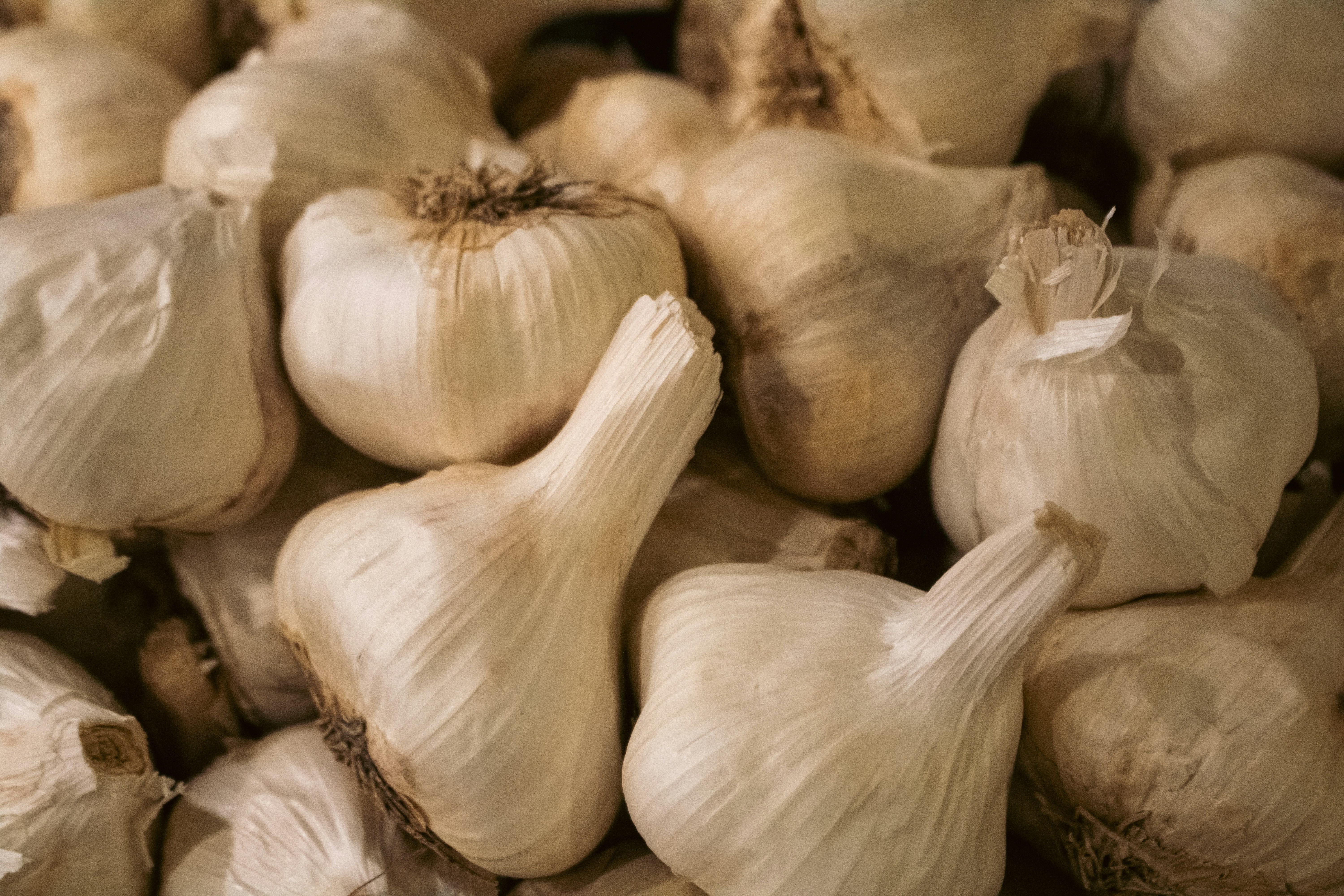 Premium Garlic