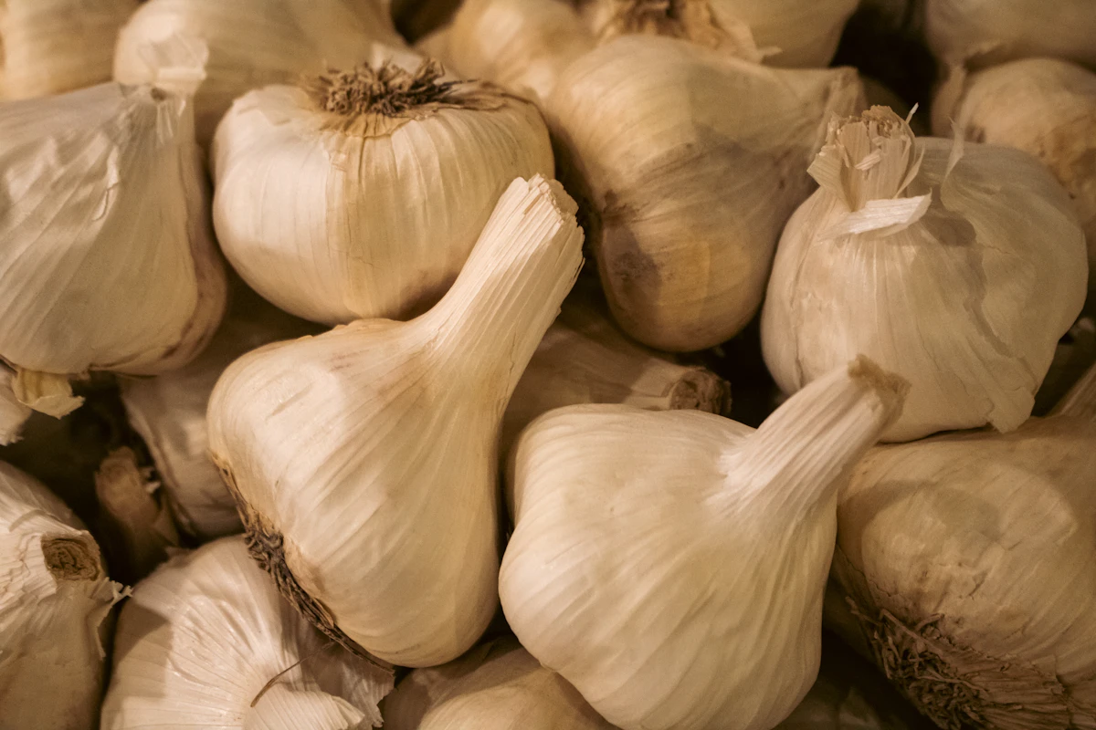 Fresh garlic — representative product imagery
