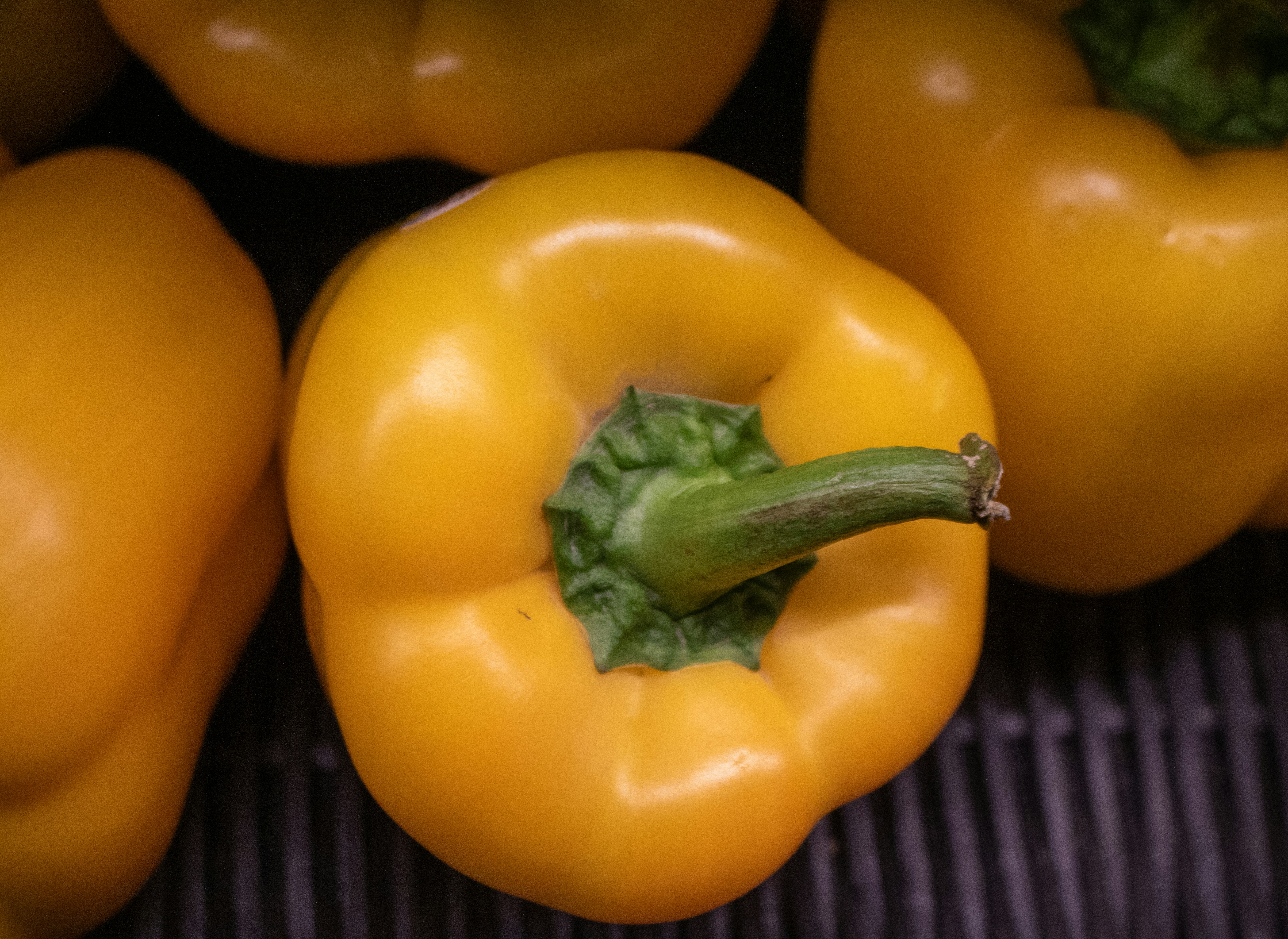 Photo by zoshuacolah