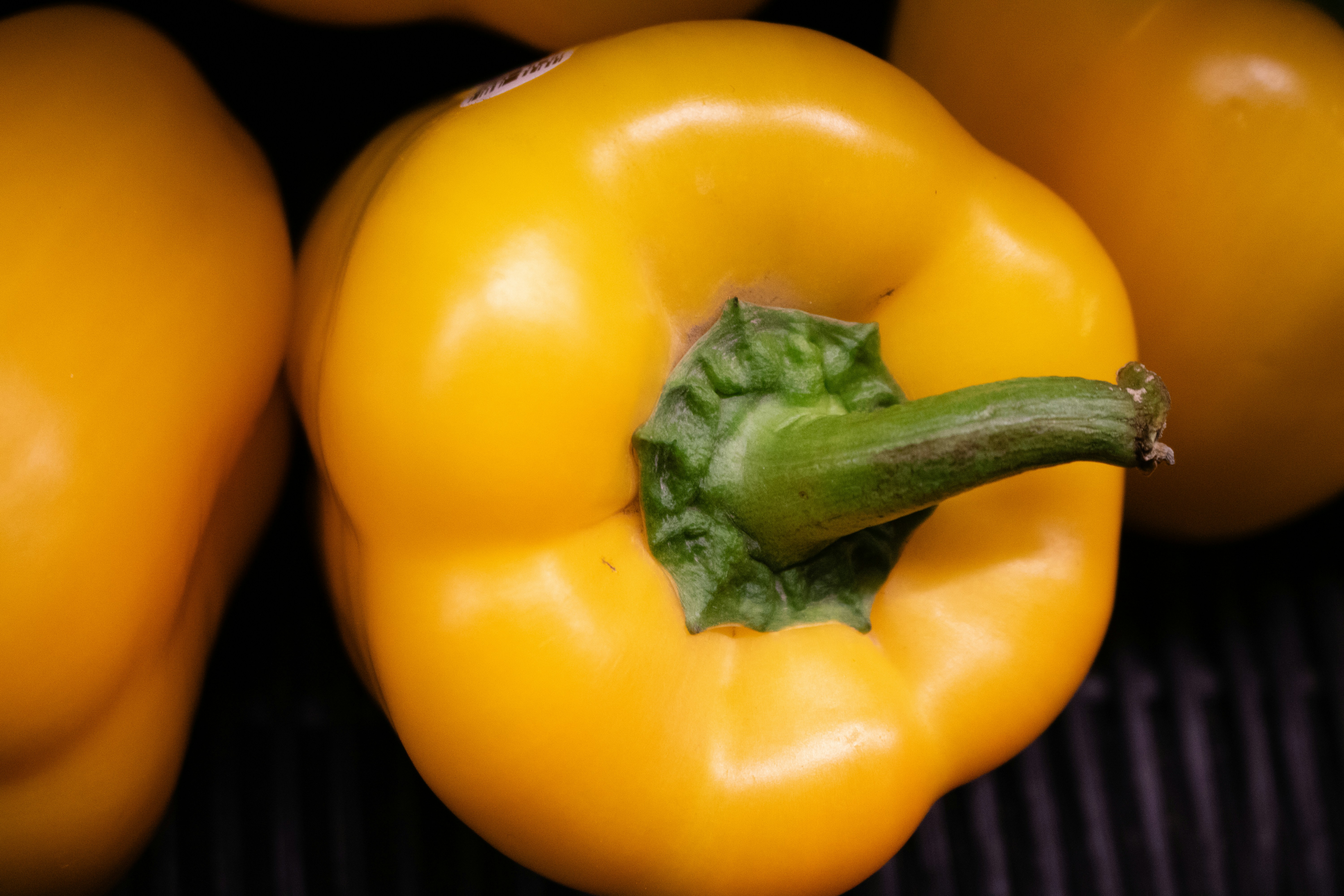 Photo by zoshuacolah