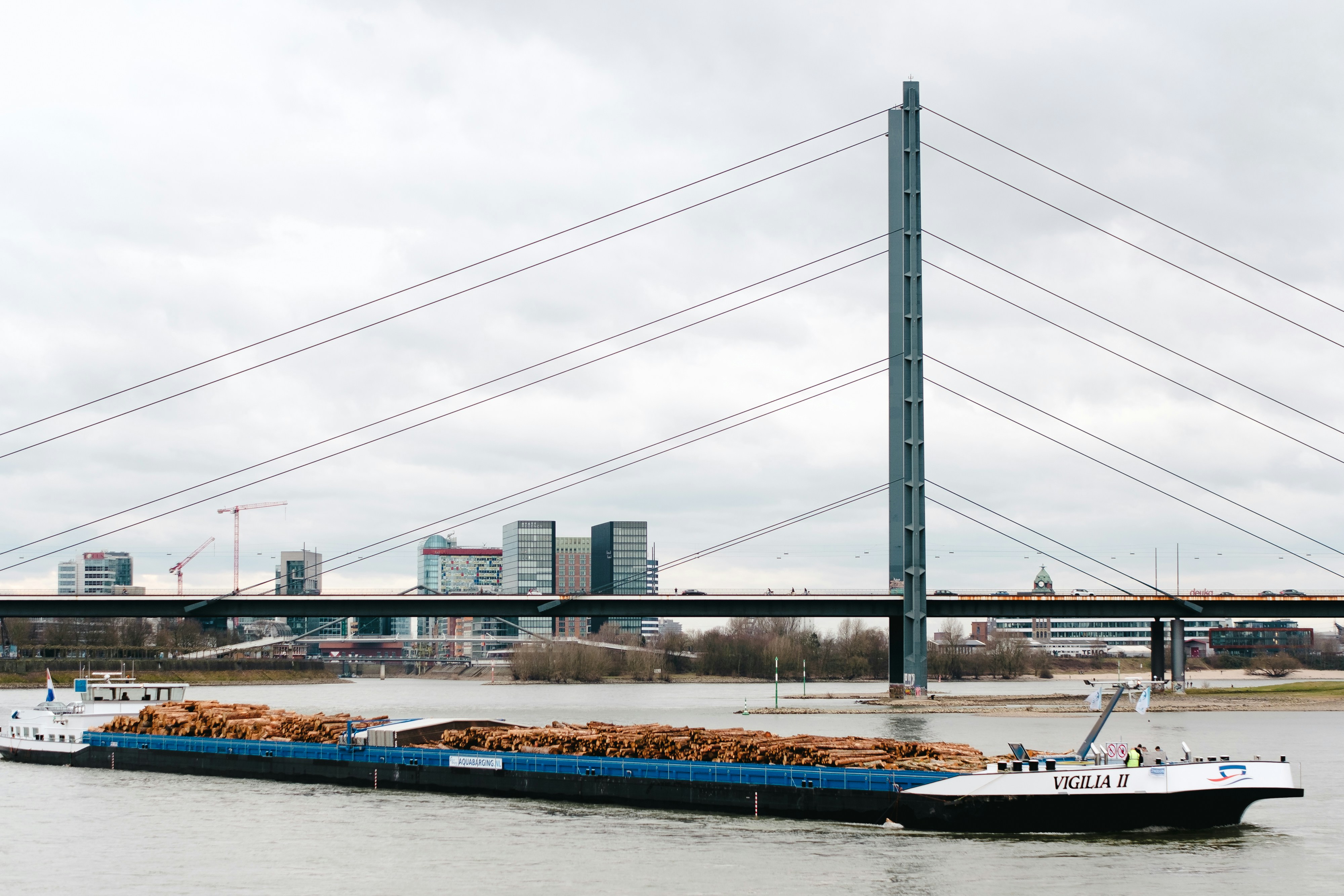 A cargo ship sails under a tall suspension bridge