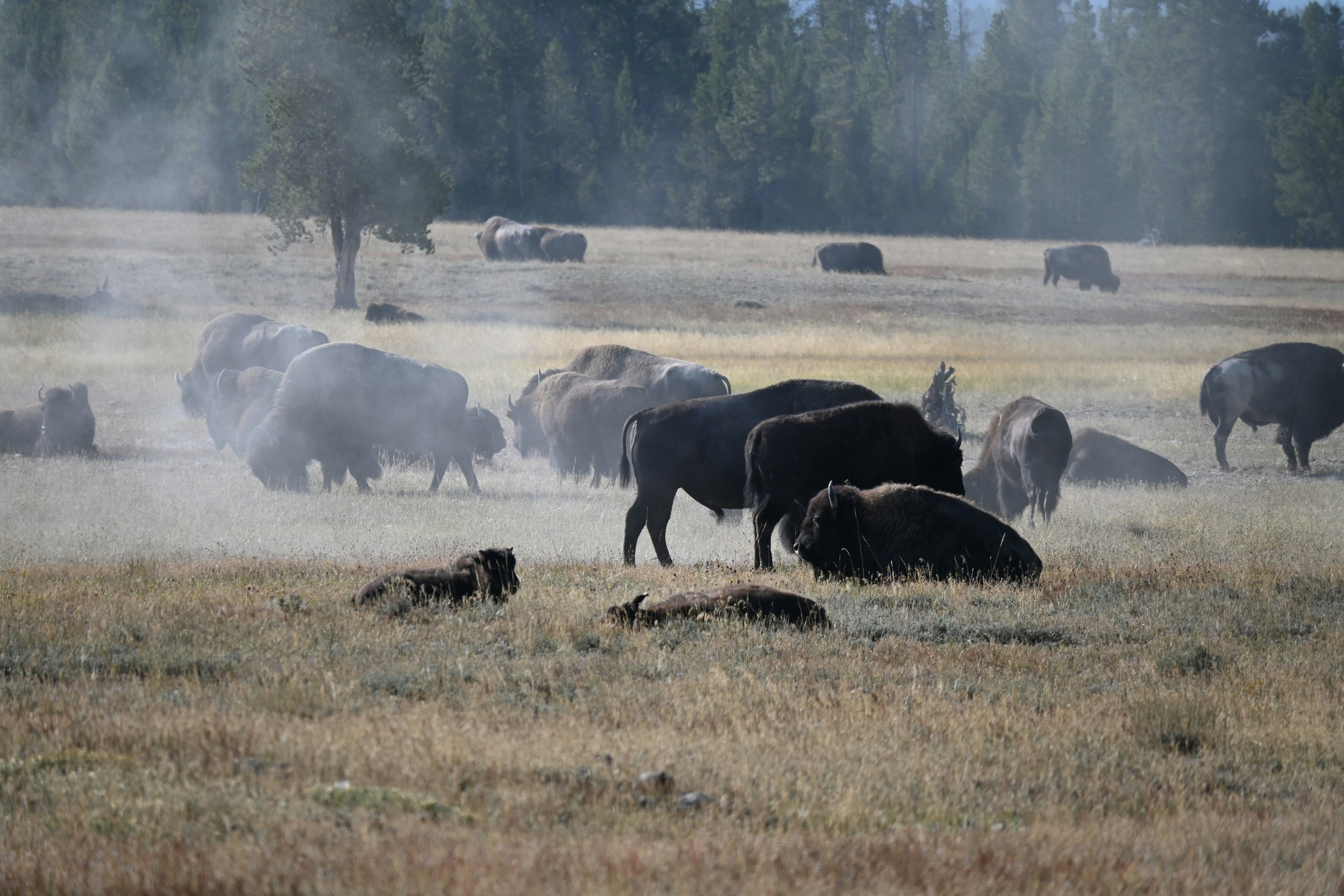 Photo by beathuonder