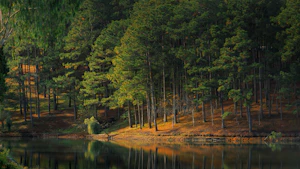 Dalat