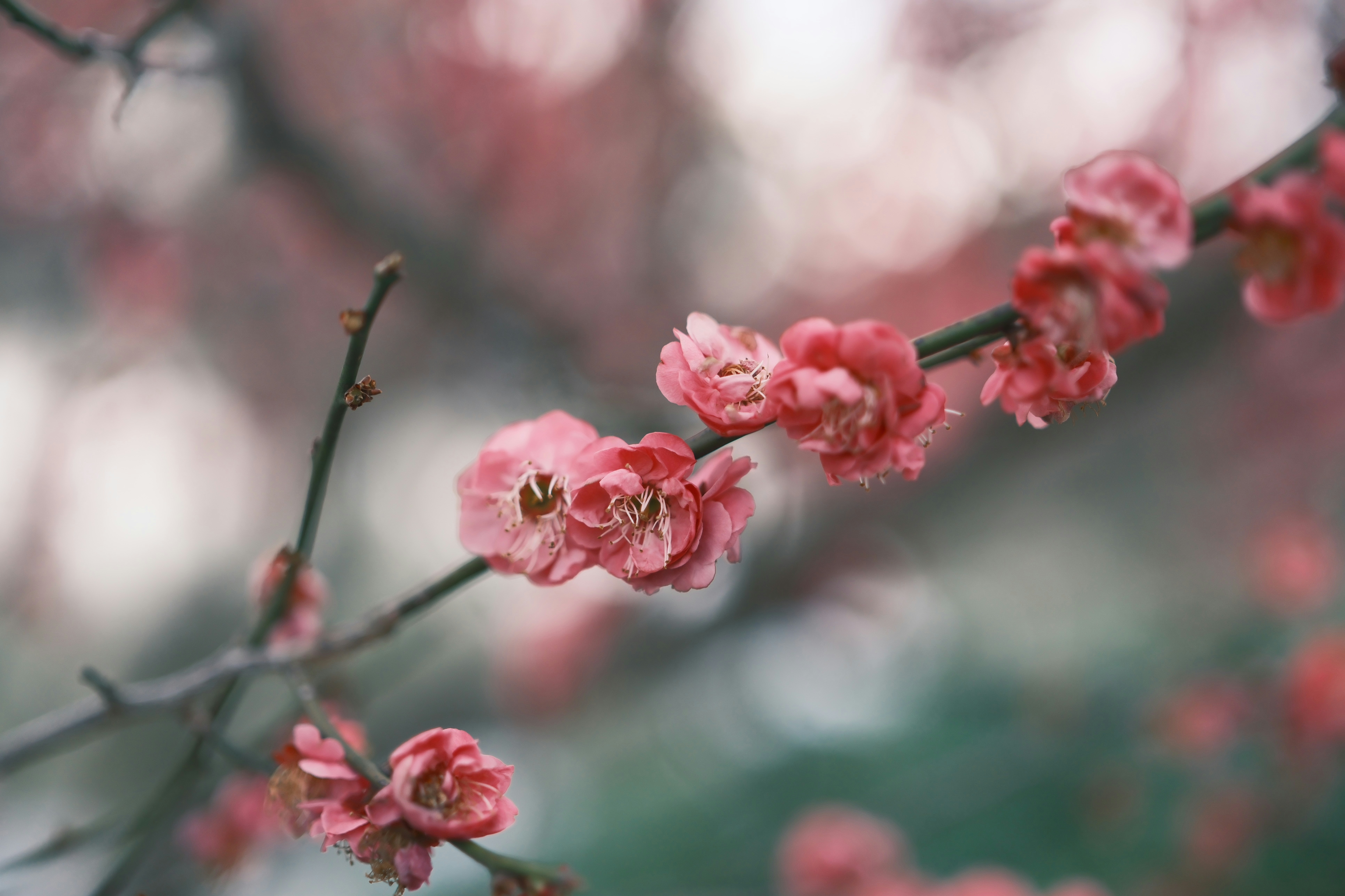 Photo by leo_gilgamesh