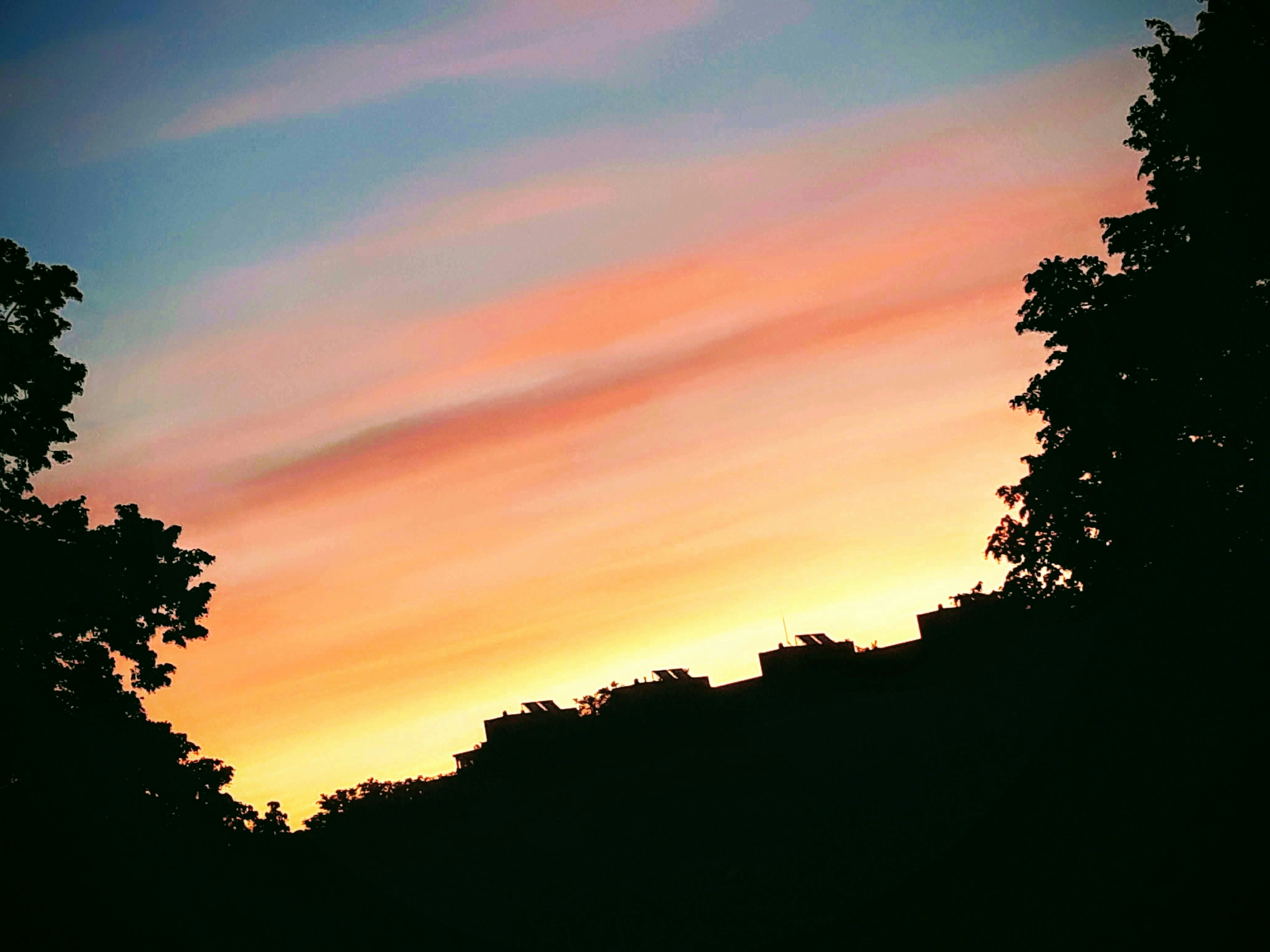 Sunset colors paint the sky between trees