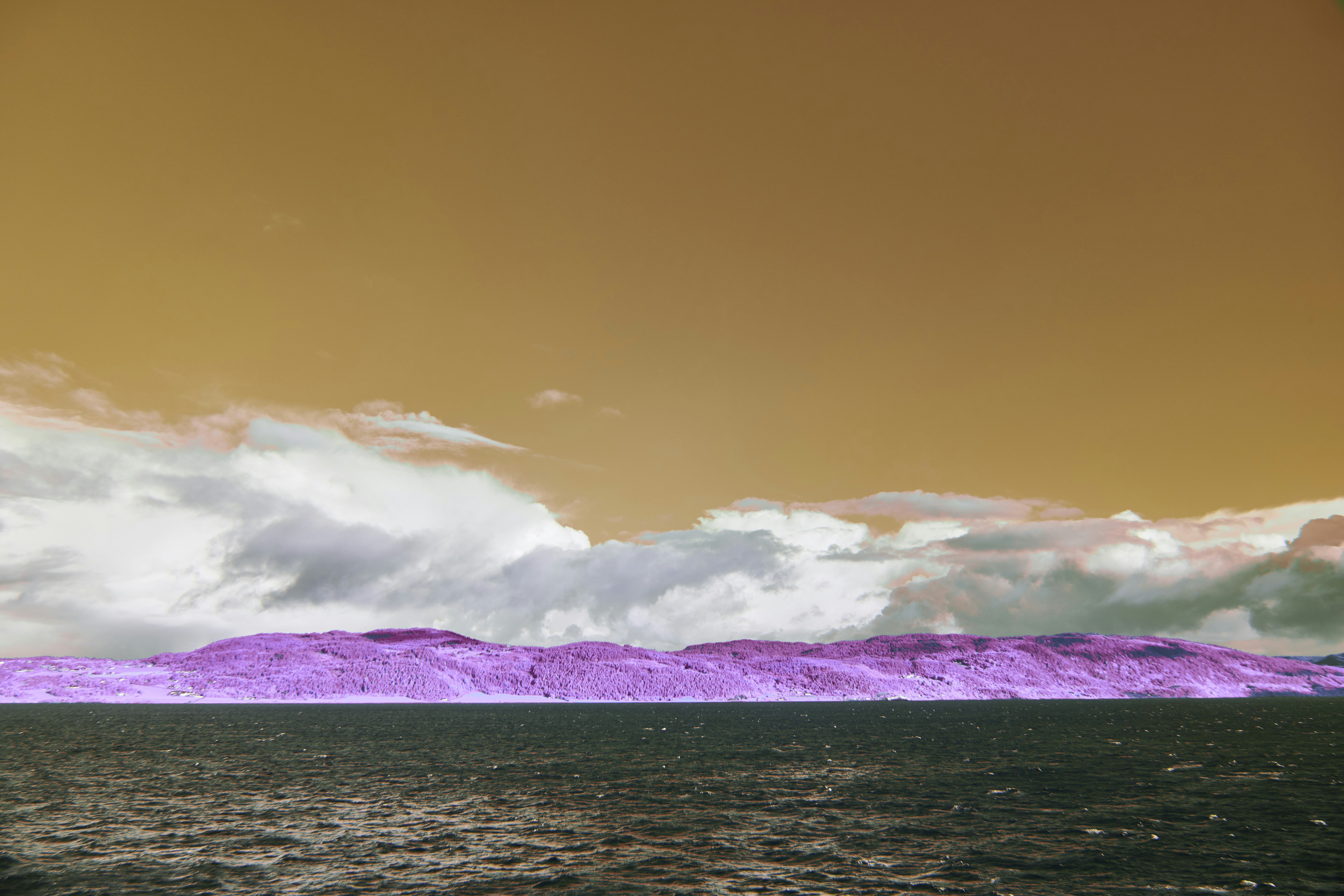 Photo by wolfgang_hasselmann