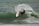 Surfer is catching a wave and doing a trick.