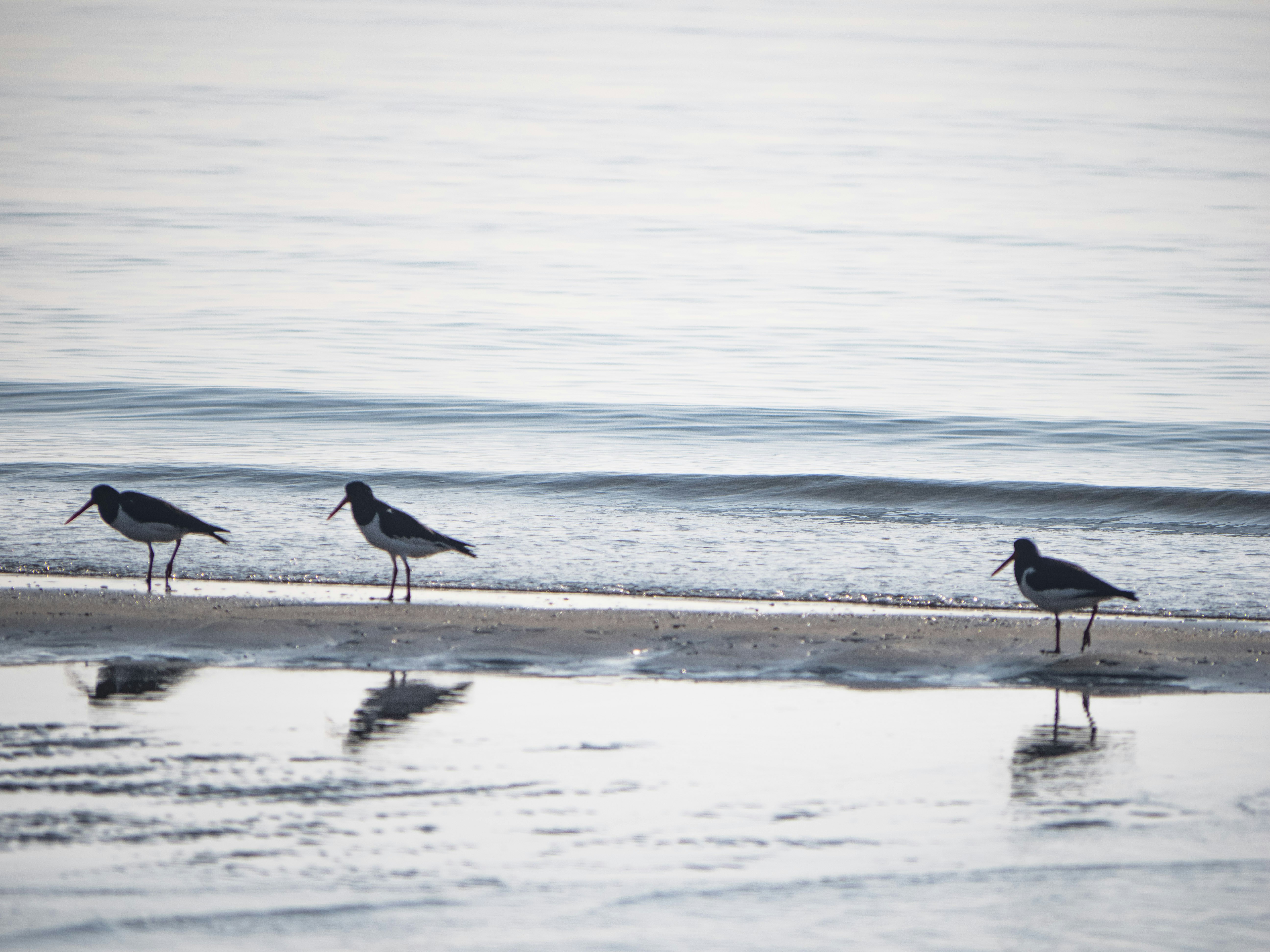 Photo by gopitri_prem