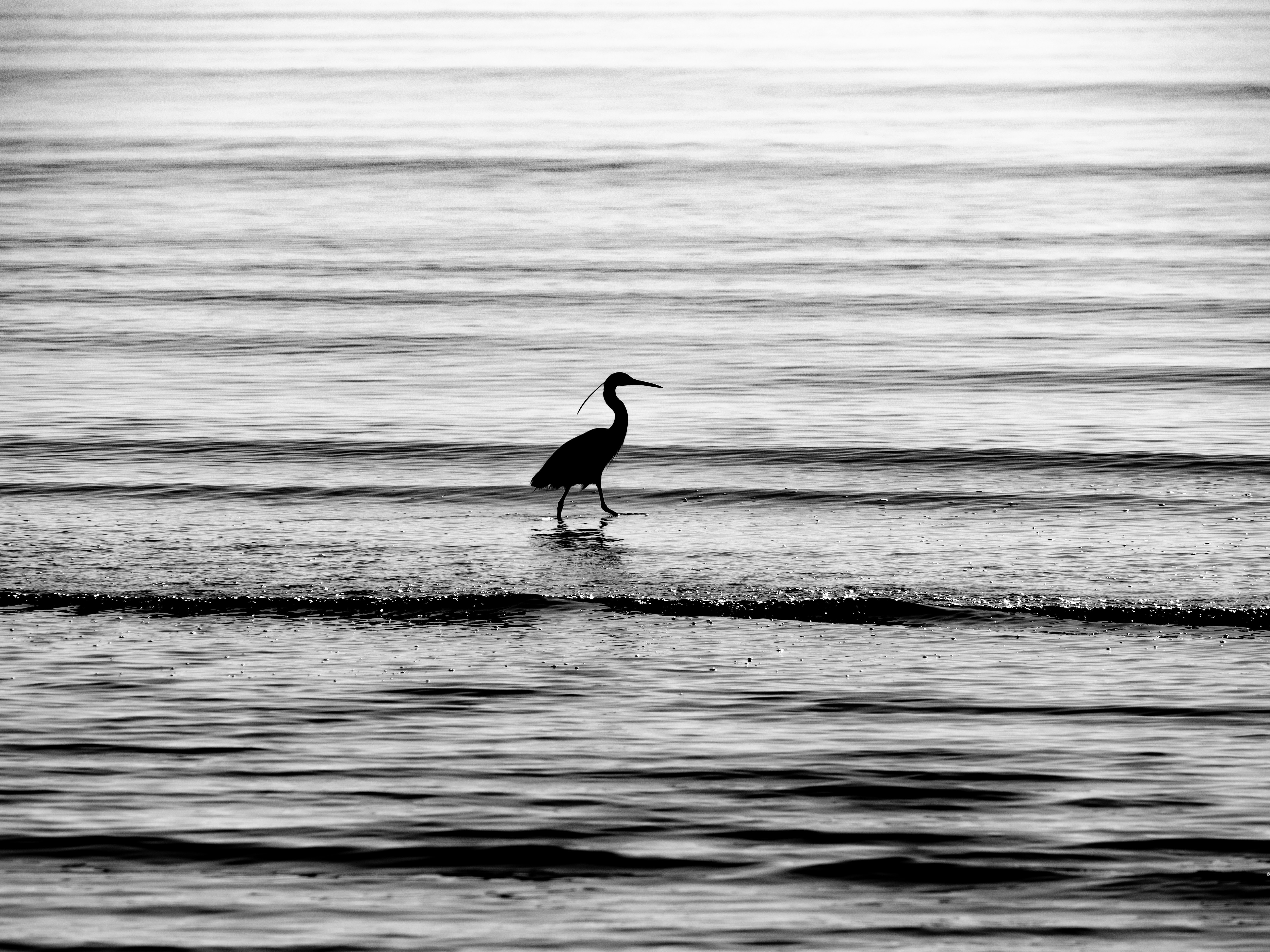 Photo by gopitri_prem