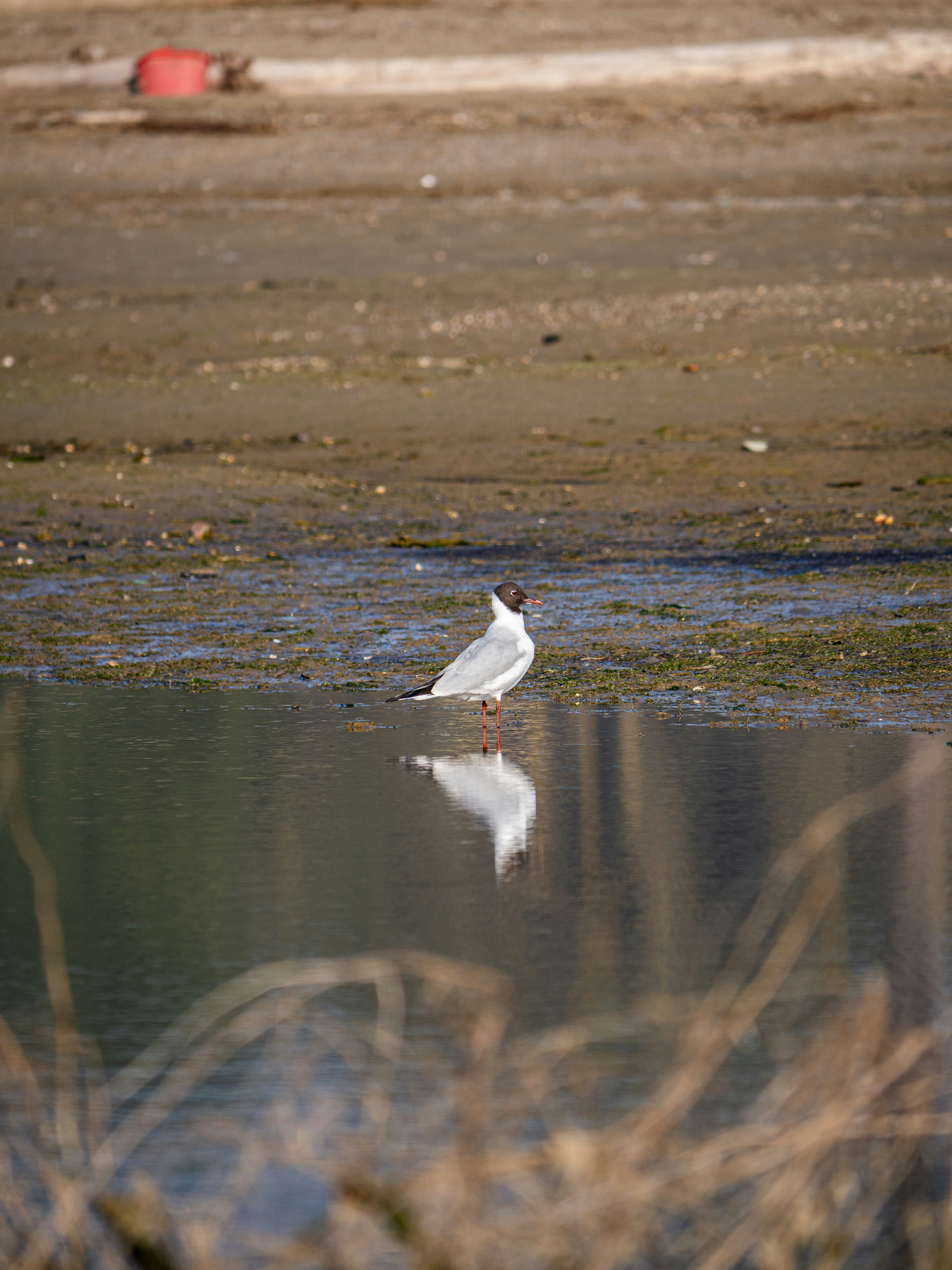 Photo by gopitri_prem