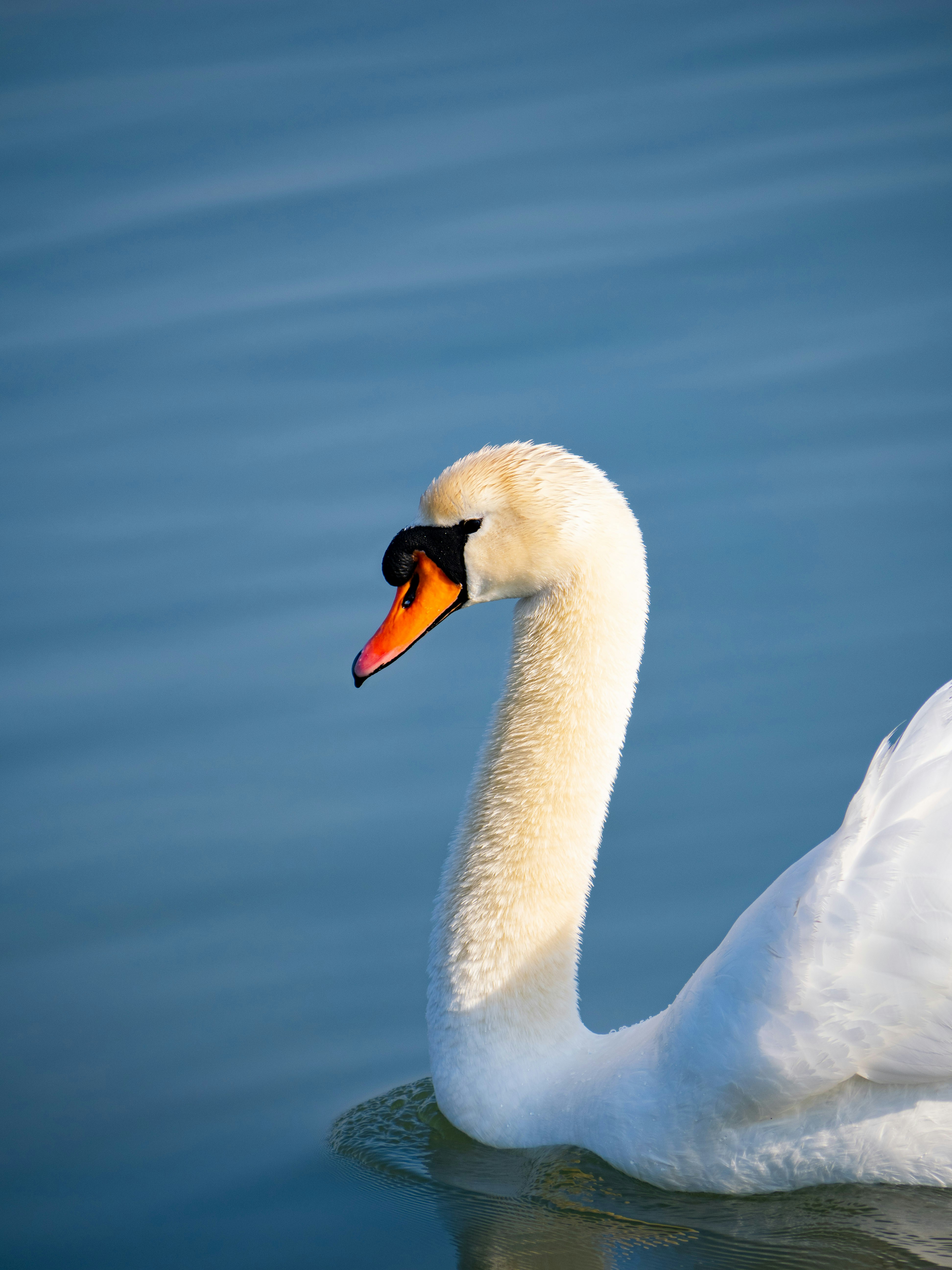 Photo by gopitri_prem