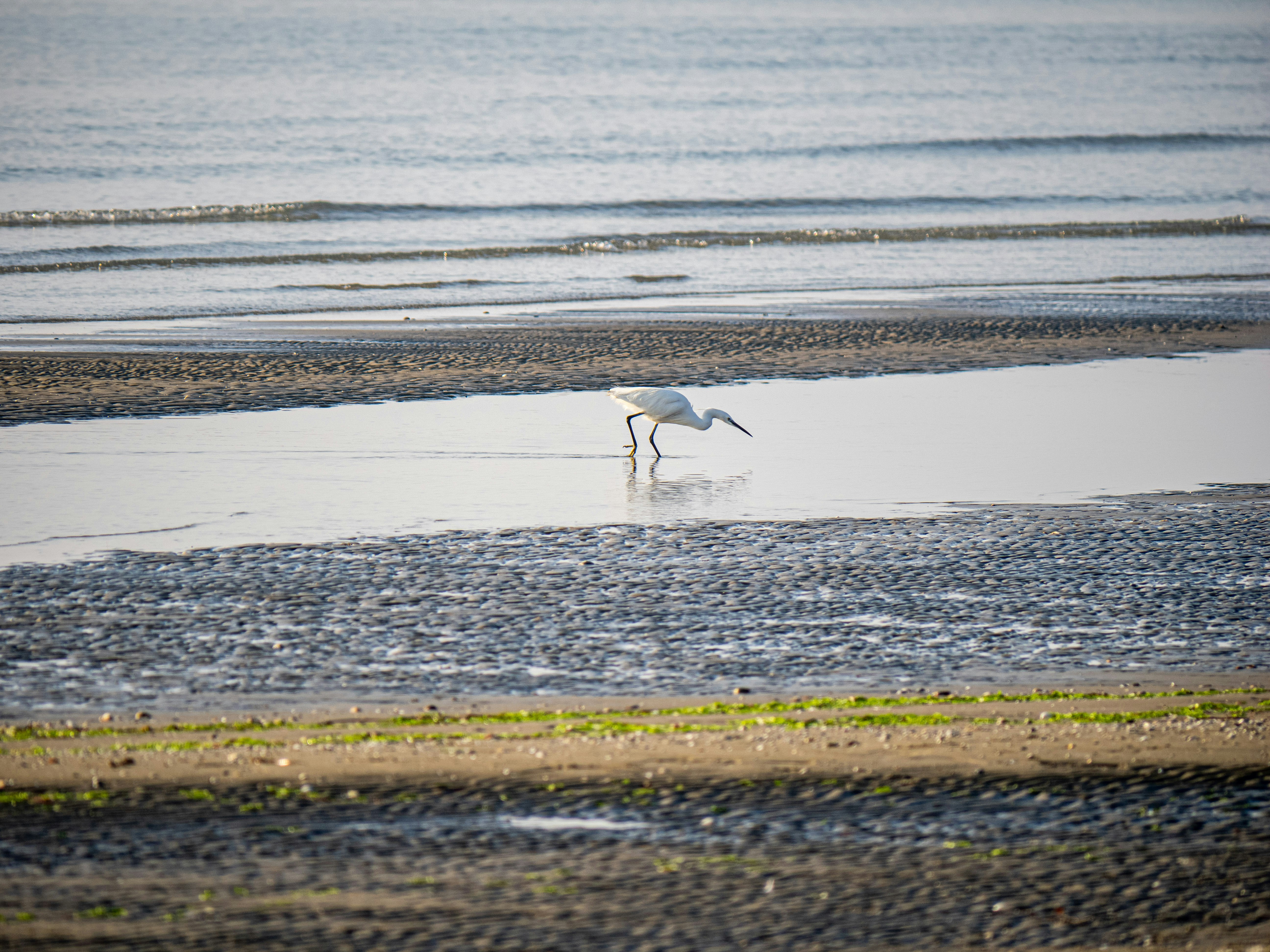 Photo by gopitri_prem