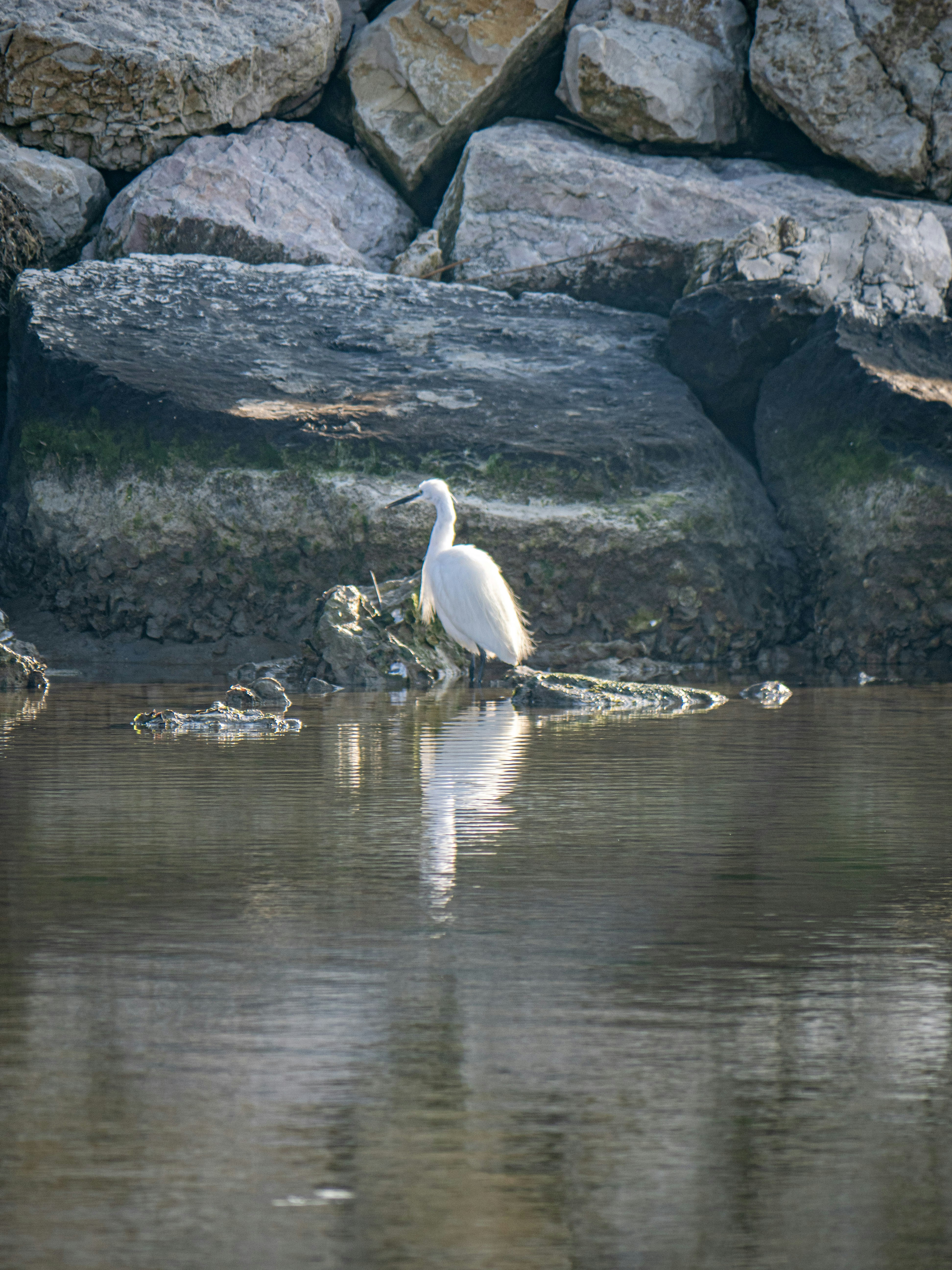 Photo by gopitri_prem