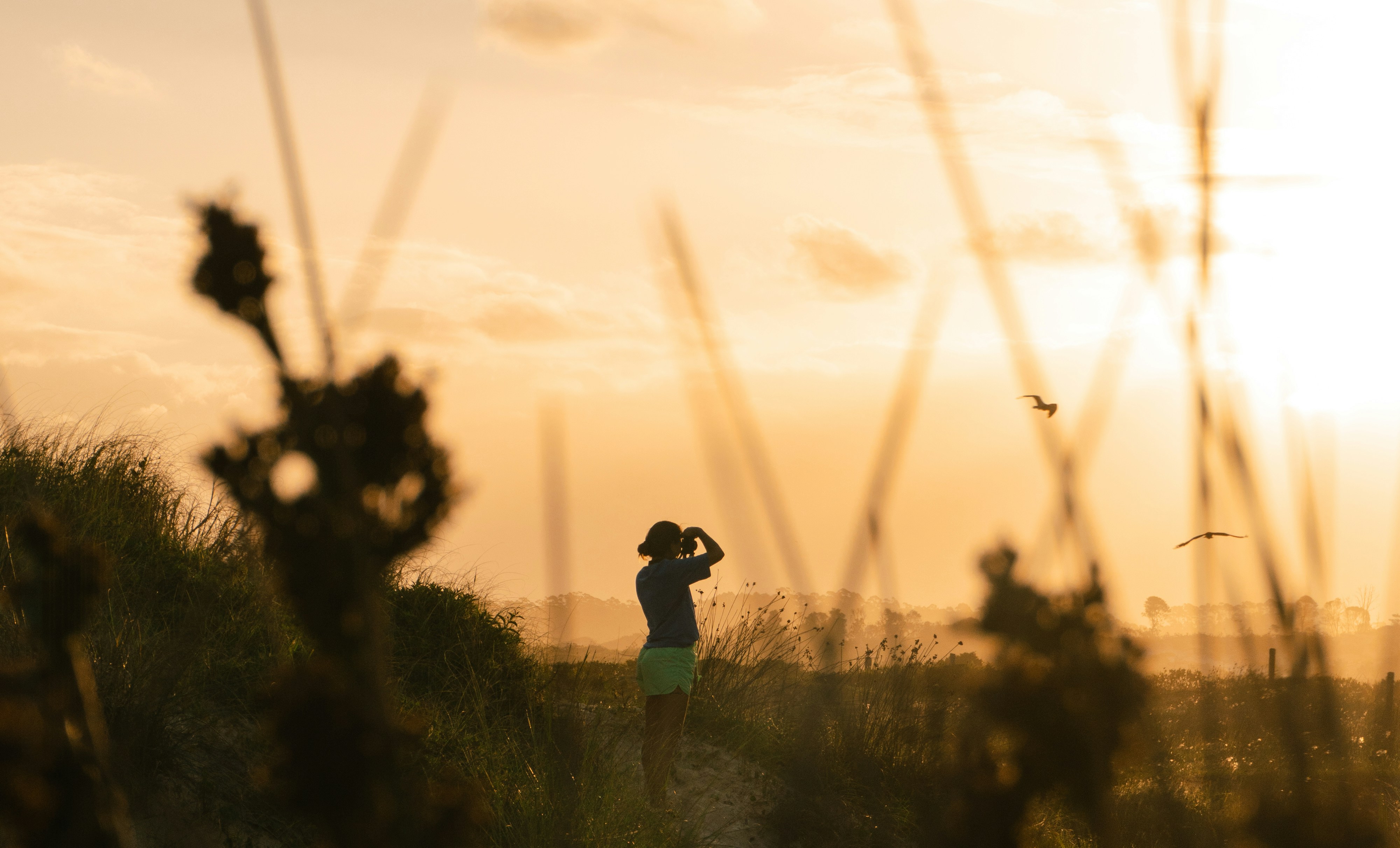 Photo by andreicastanha