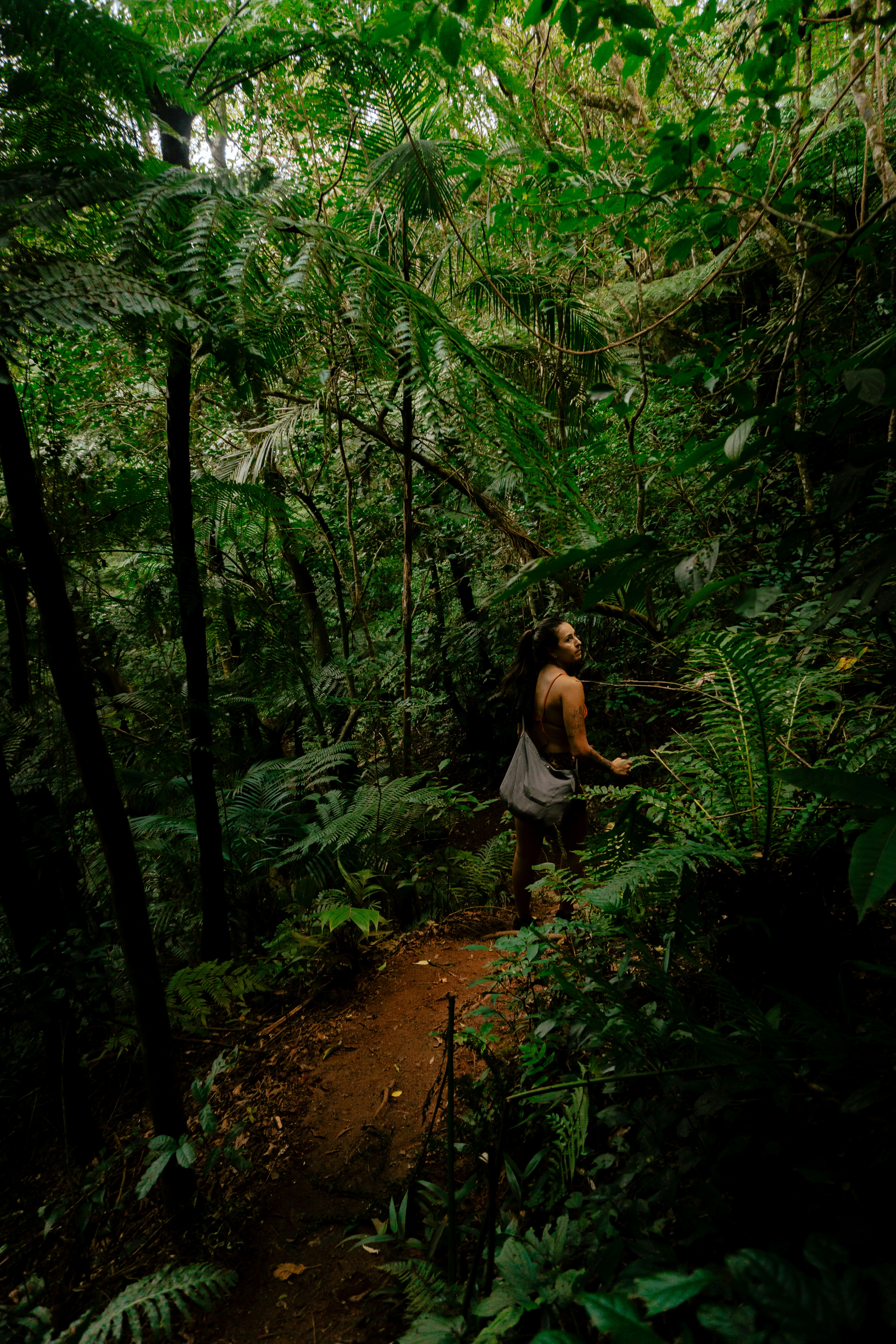 Photo by andreicastanha