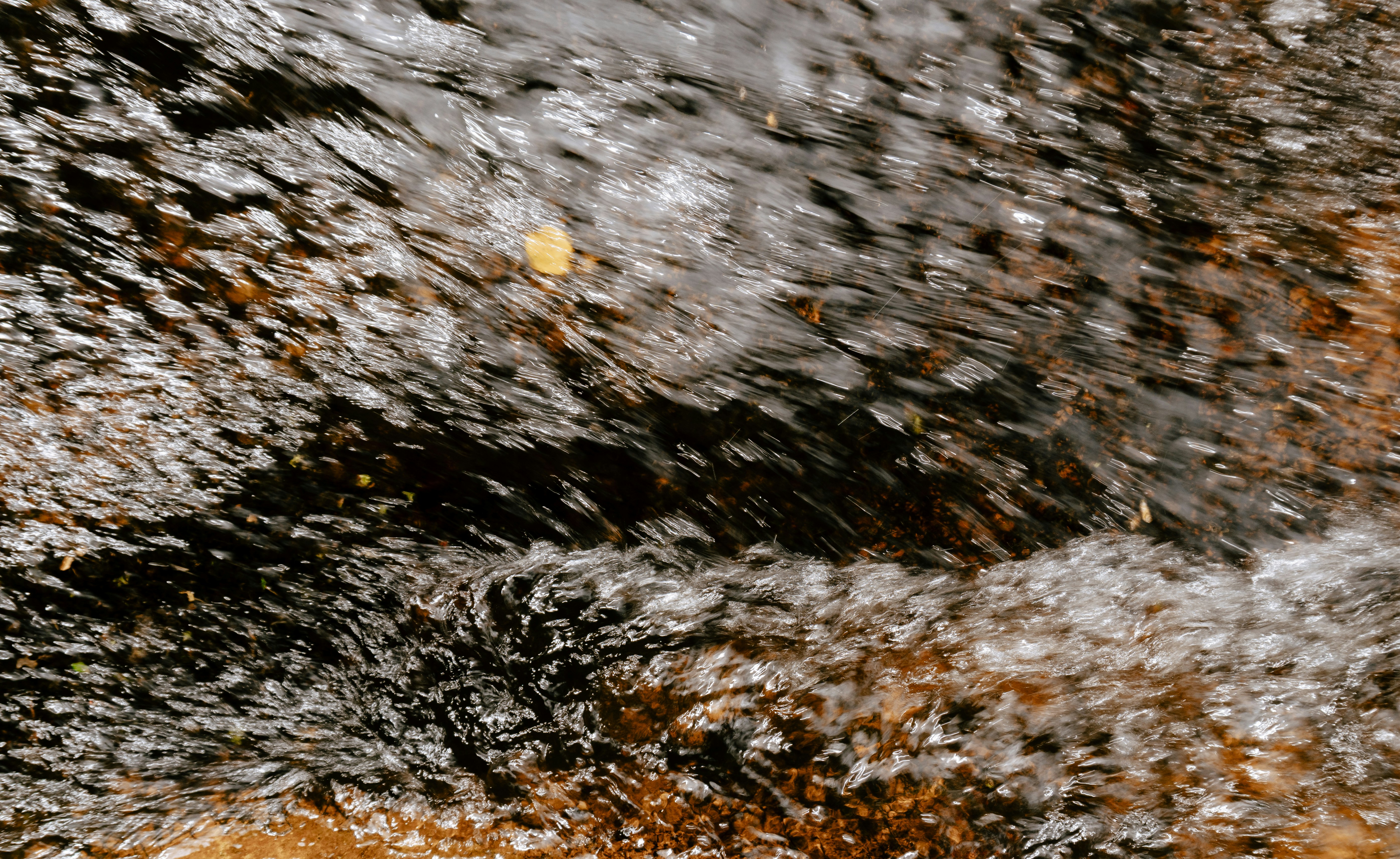 Photo by andreicastanha