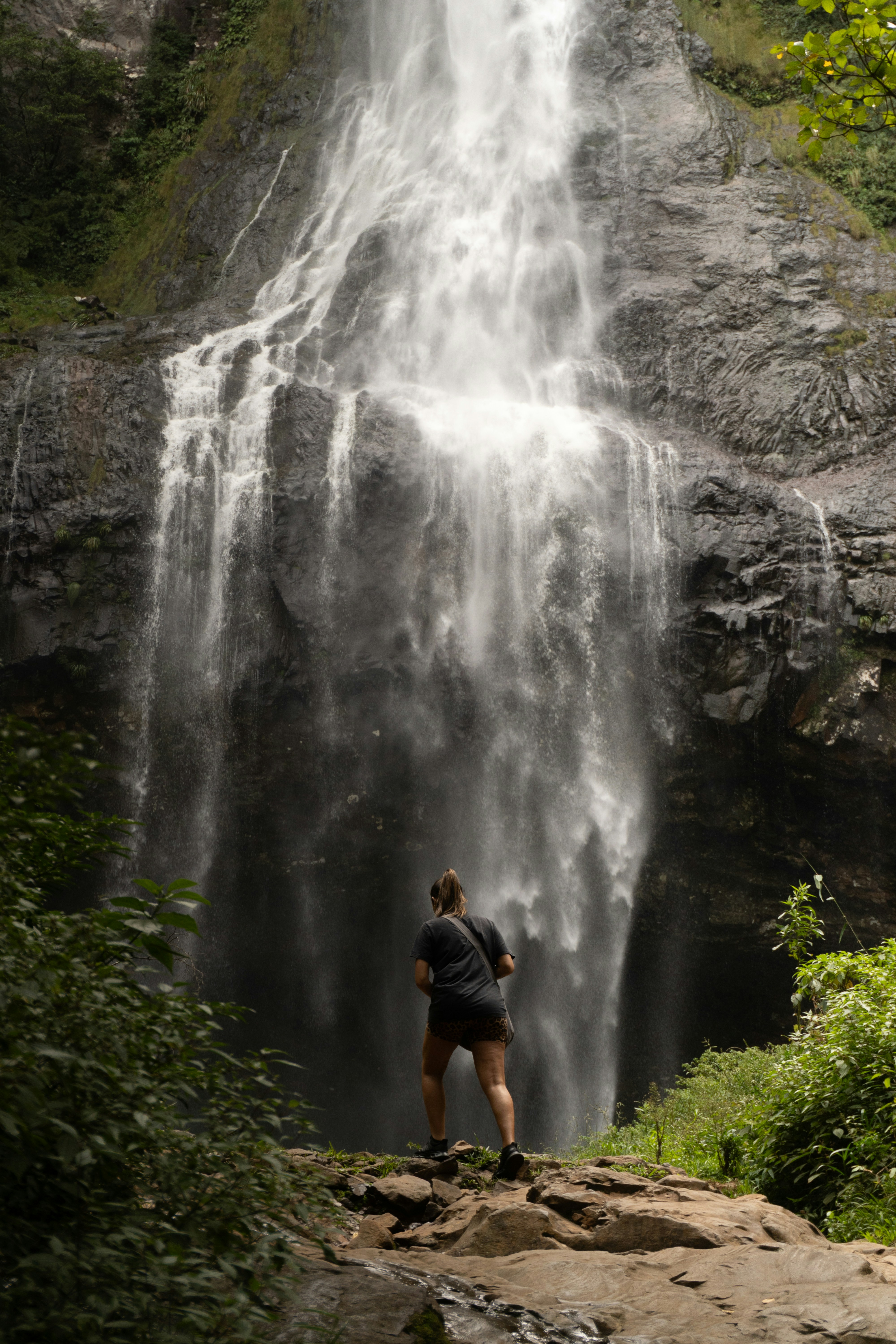 Photo by andreicastanha