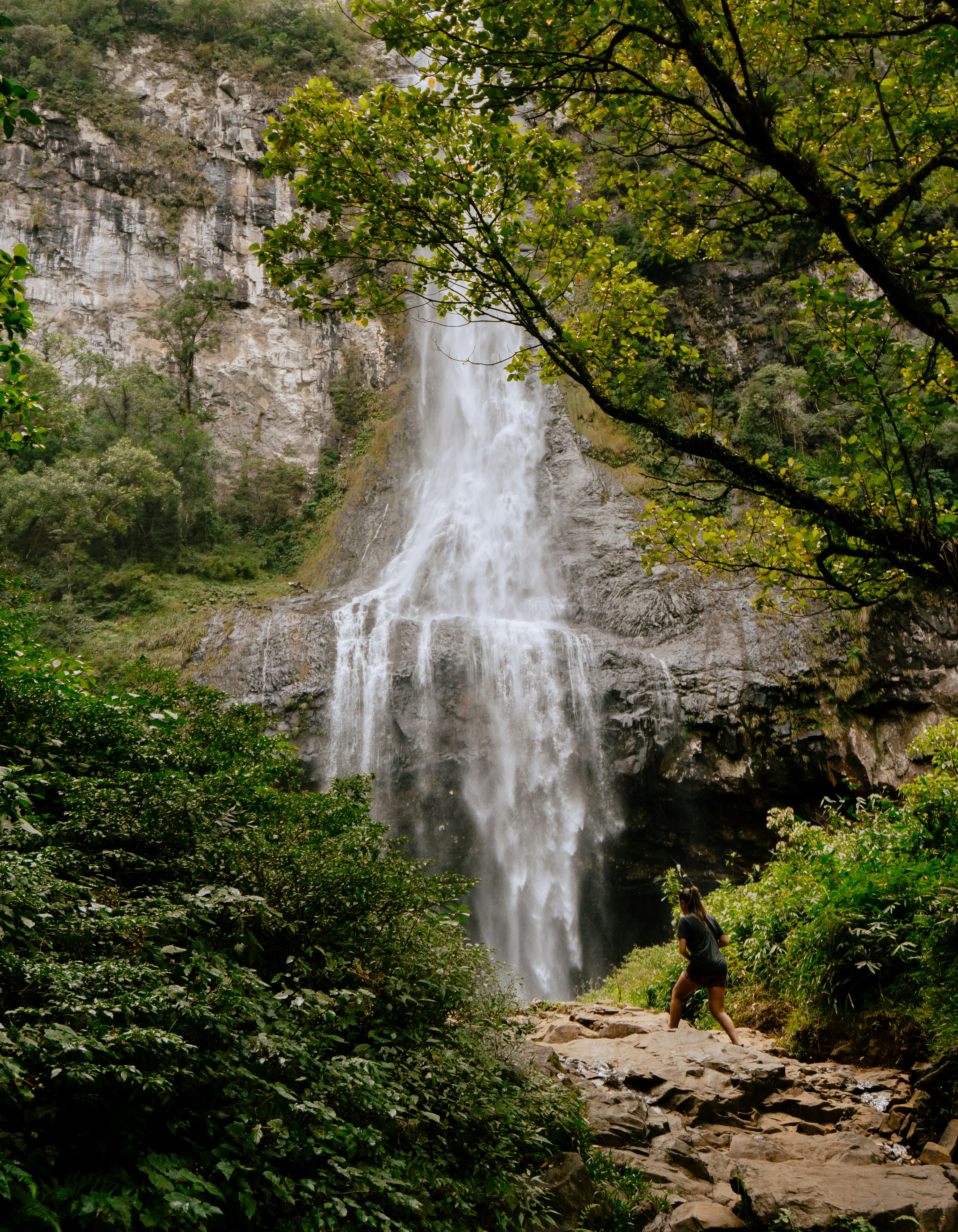 Photo by andreicastanha