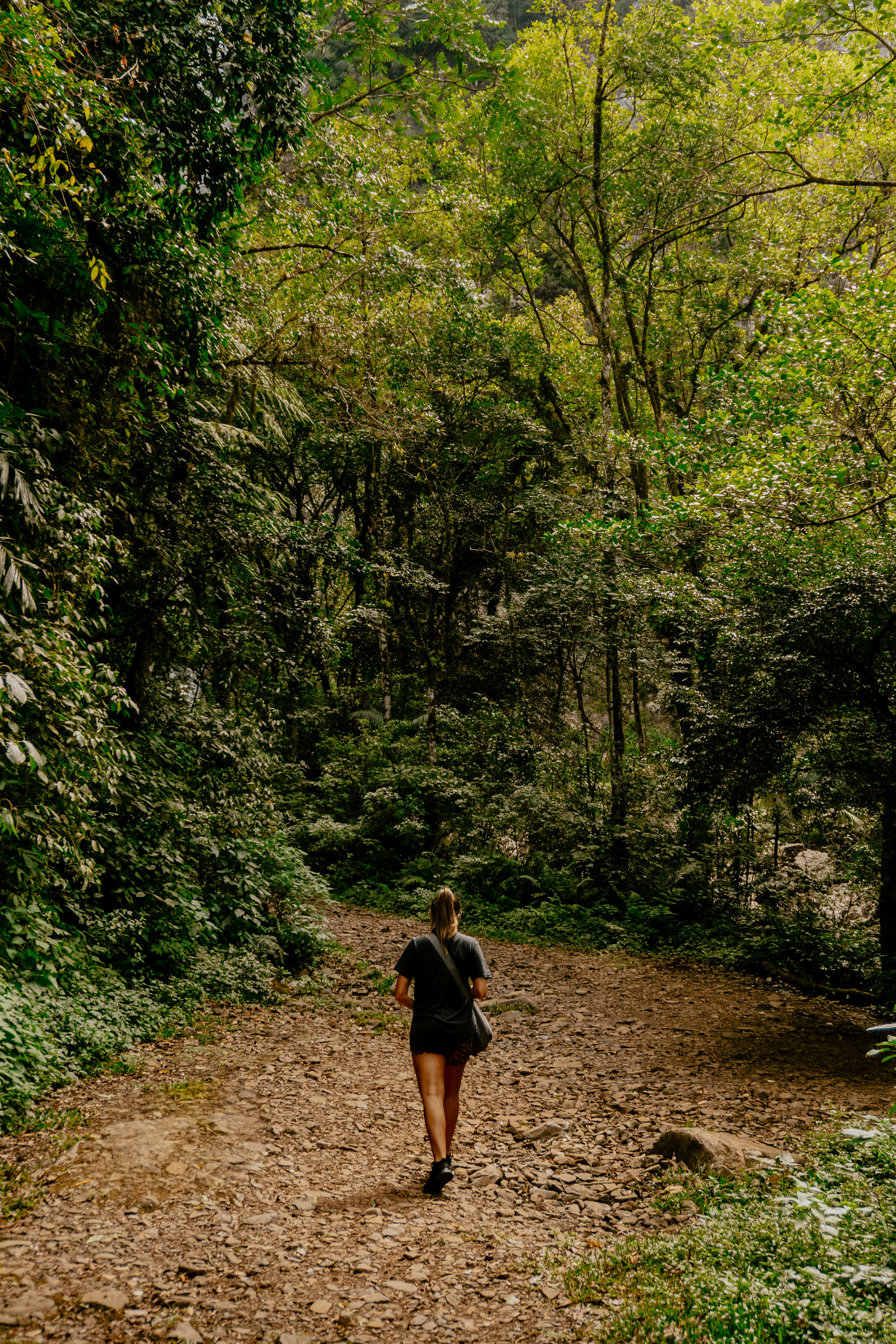 Photo by andreicastanha