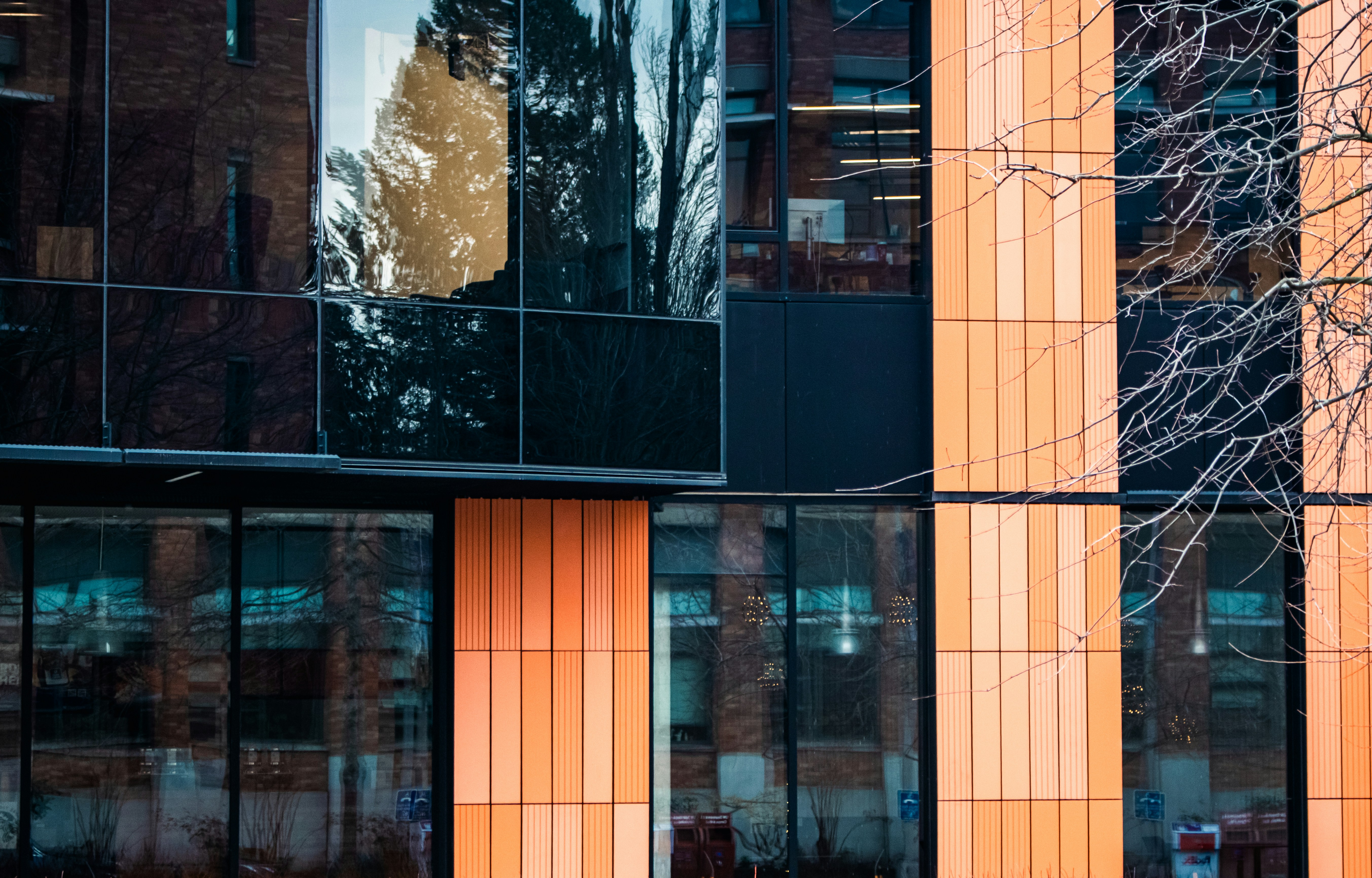 Photo by zoshuacolah