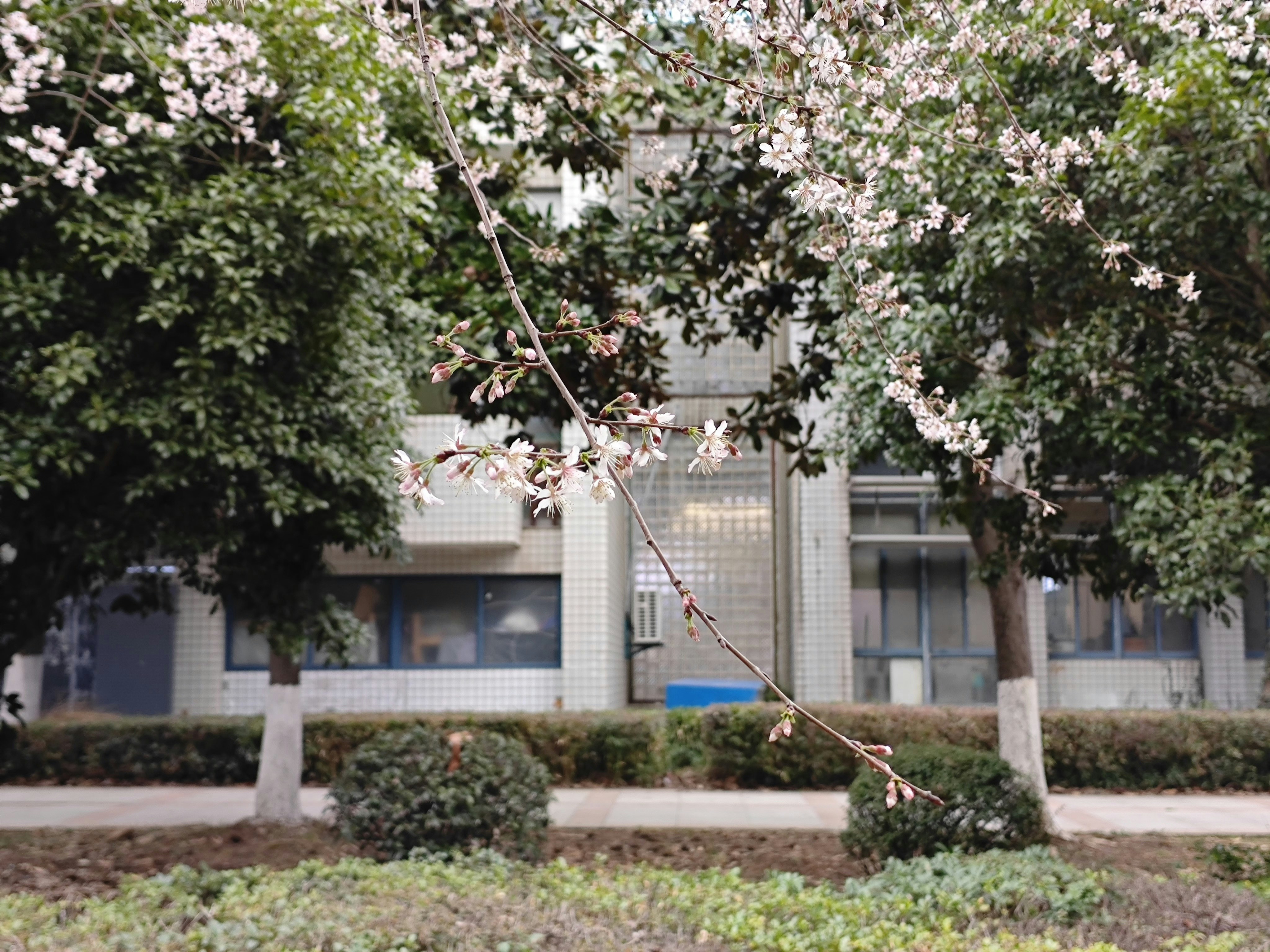 文化衝擊！這件事你絕對做過，但超丟臉！😱