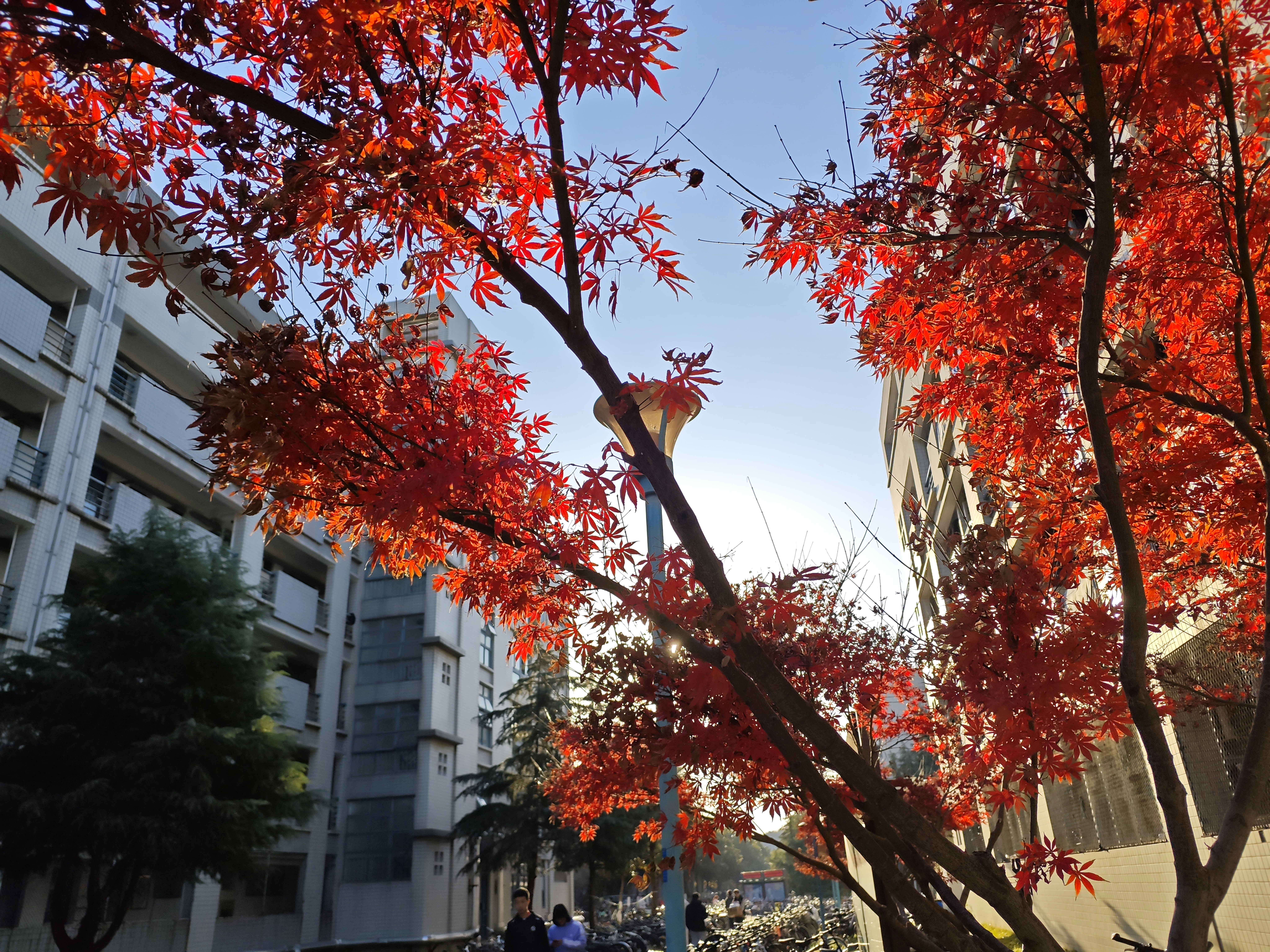 蛤？這你也敢信？揭密爆紅「文化迷思」，小心被當盤子！