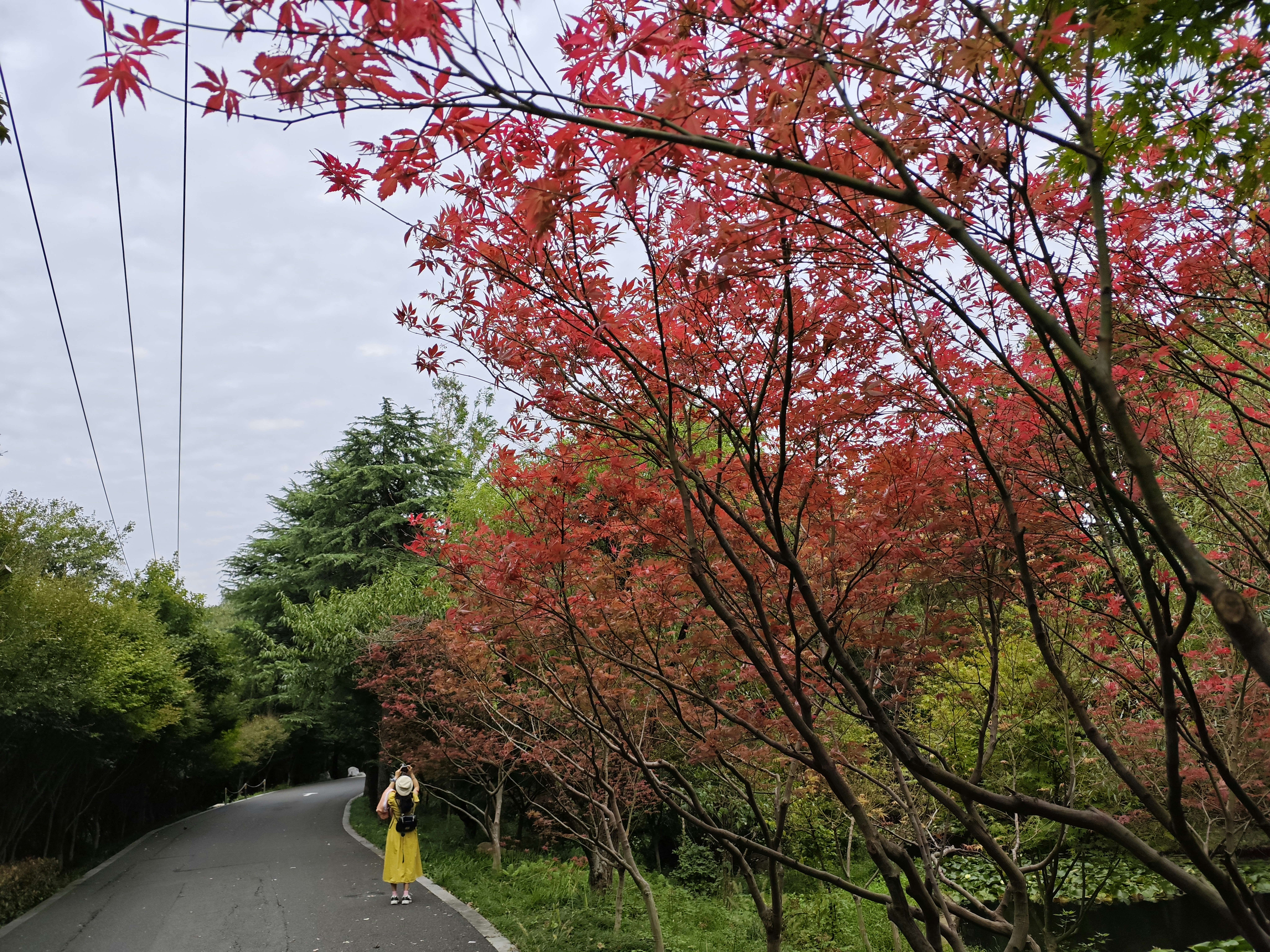 Okuhida Onsen in autumn