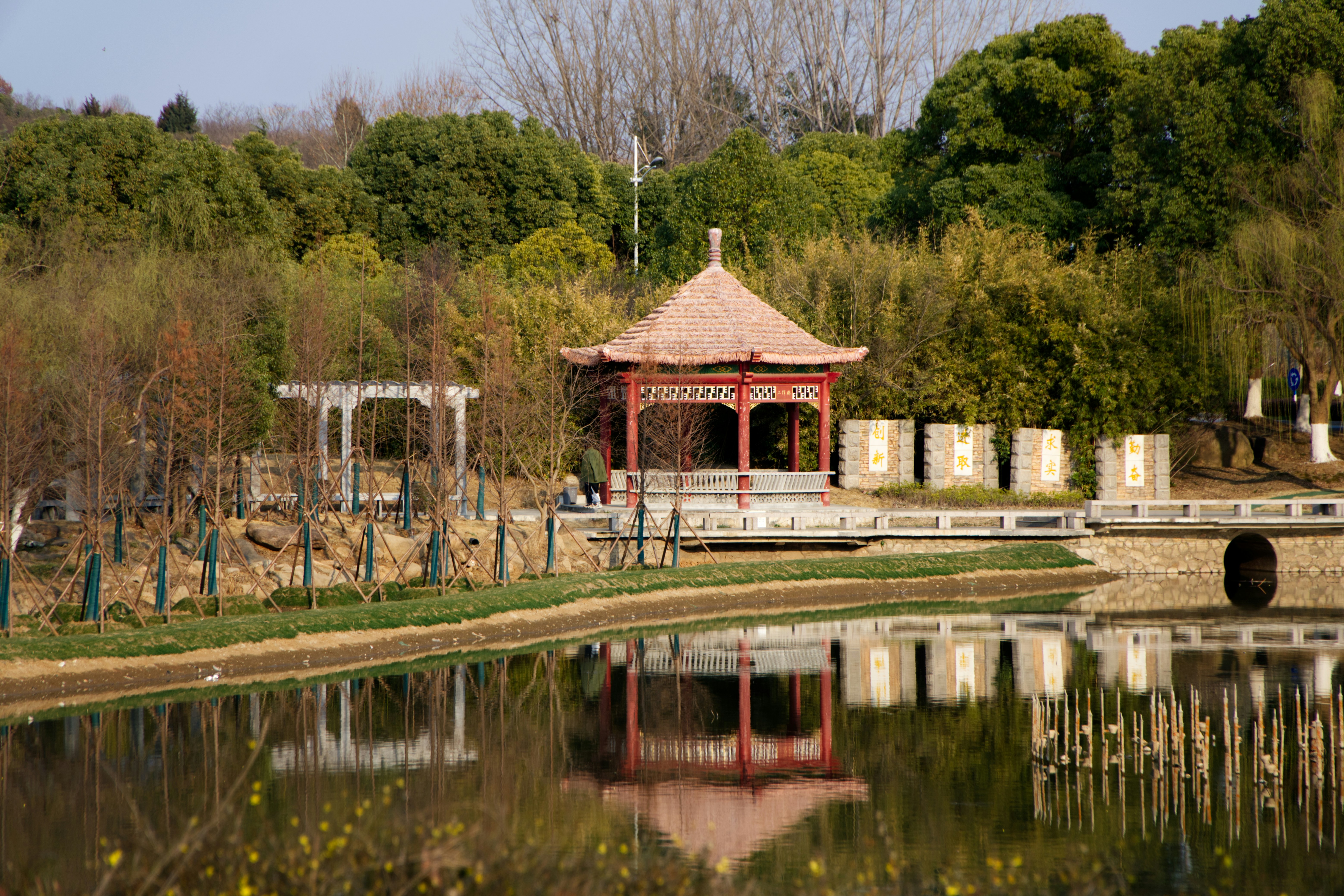 文化衝擊！這XX現象讓你三觀全毀！