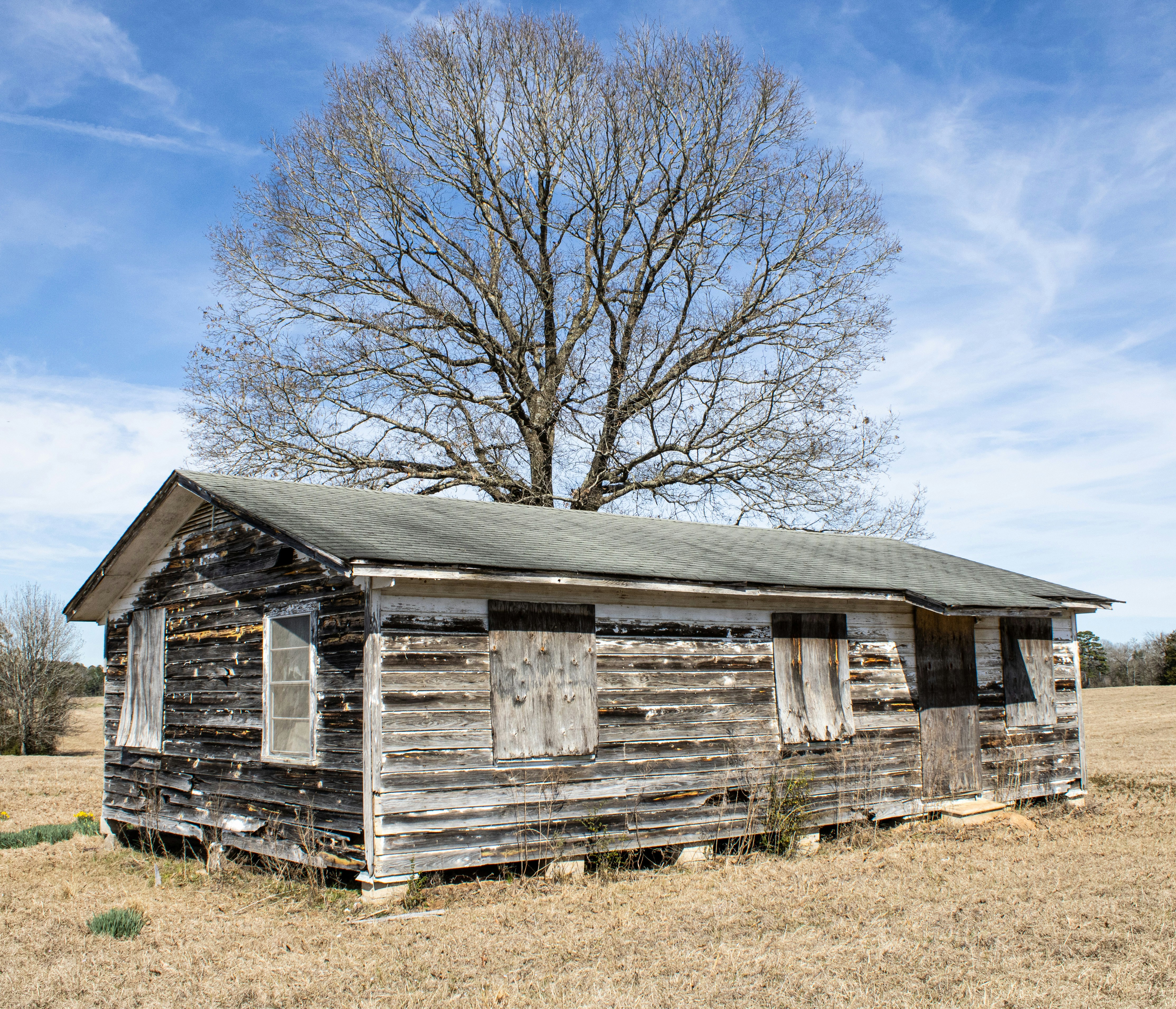 Photo by ronaldacrow